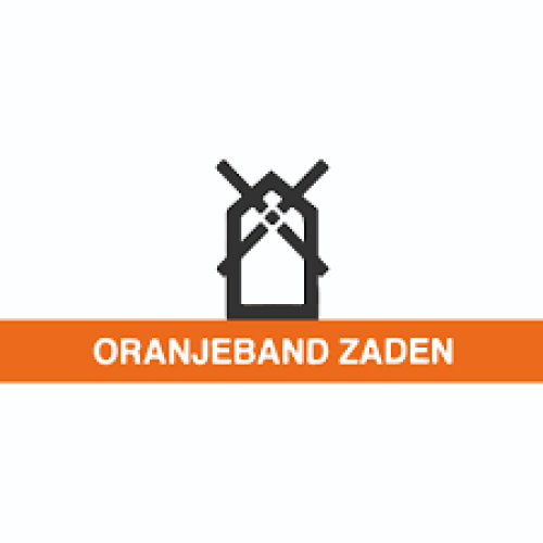 Oranjeband zaden 