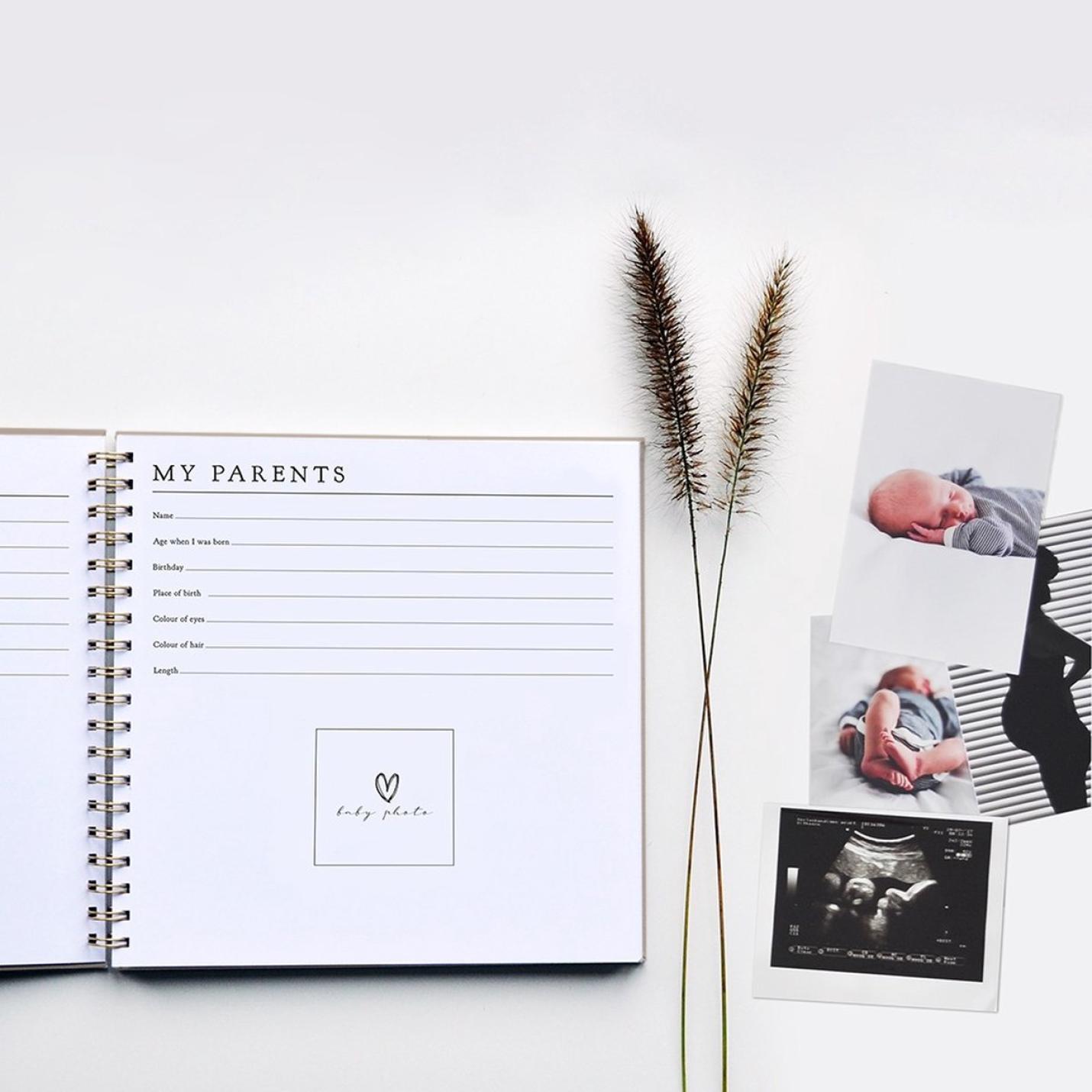 Luxe Babyboek - Linnen Taupe - House of Products - Zwangerschap - Kraam - Eerste Jaarsboek Baby Engels3