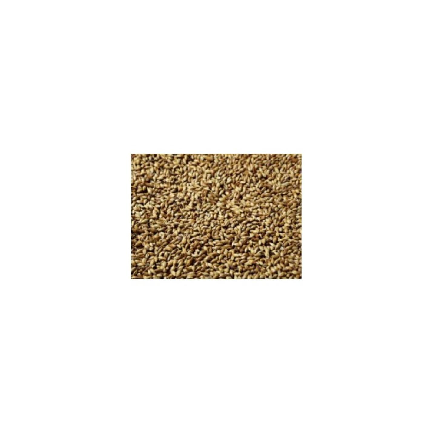 Biscuit mout Black Swaen 25kg 70-90 Ebc