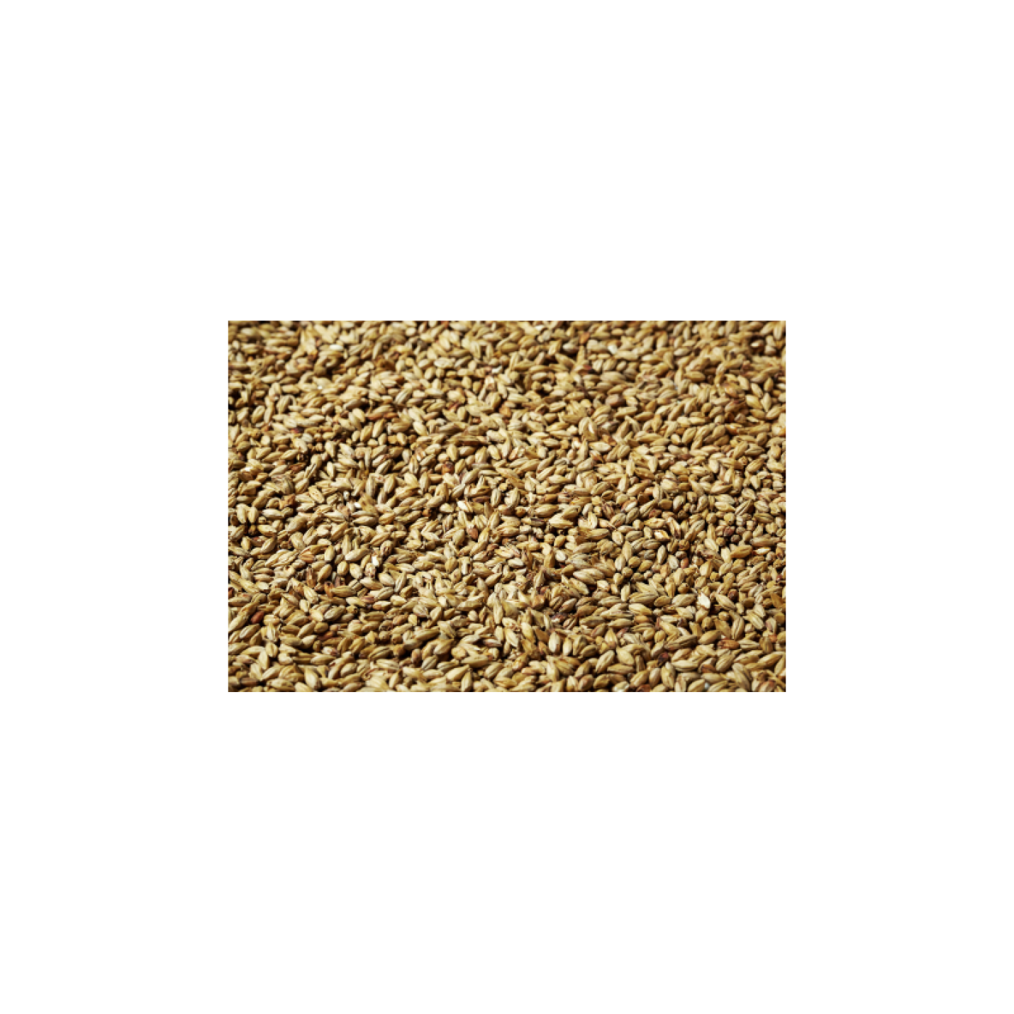 HELL mout Gold Swaen 20 - 30 EBC 5kg