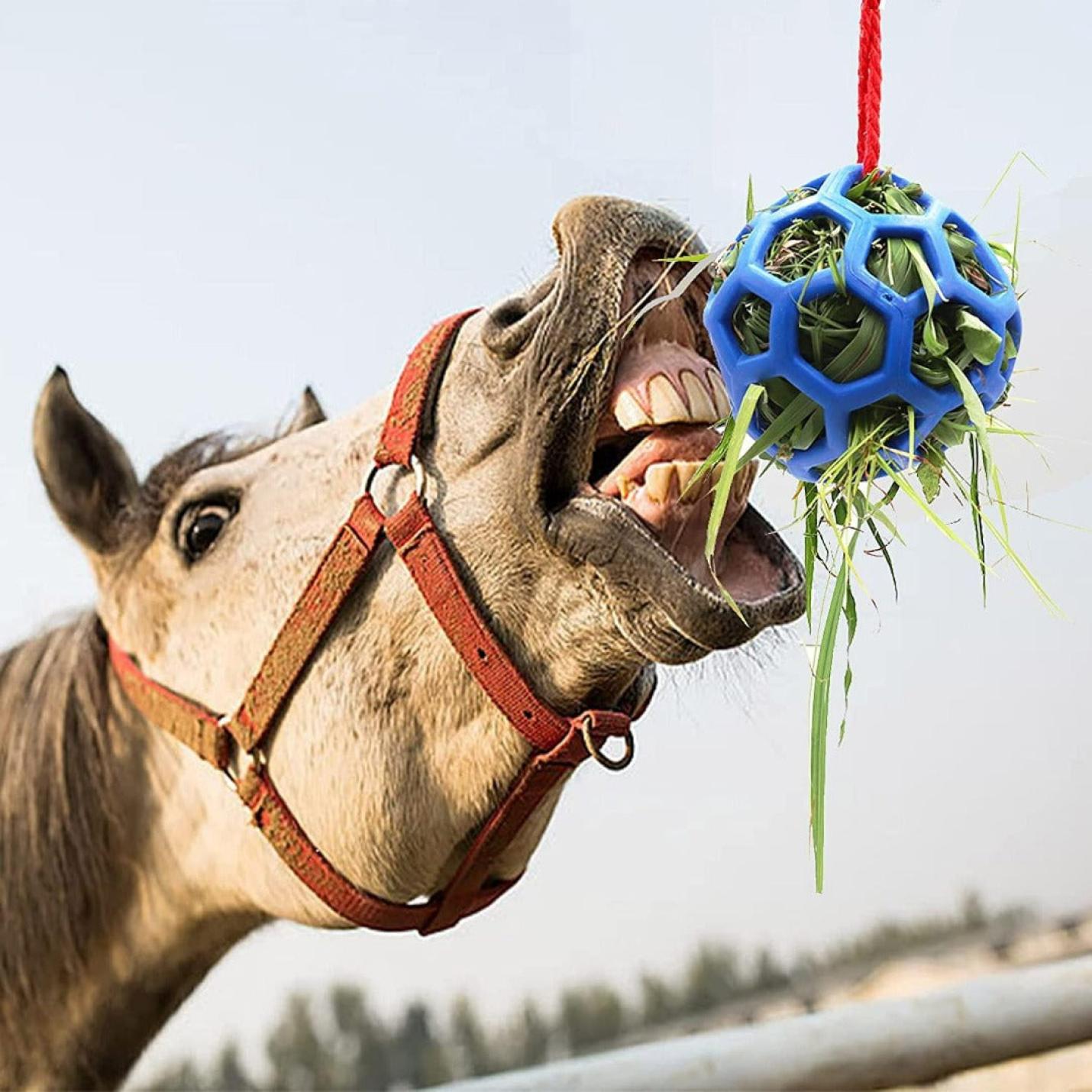 Equestrian treat balls for stress relief, set of 2, hanging design