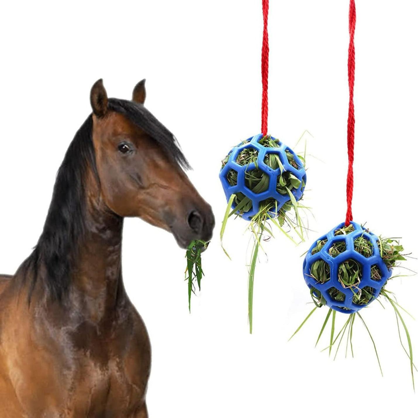 Two horse treat balls for hanging and stress relief