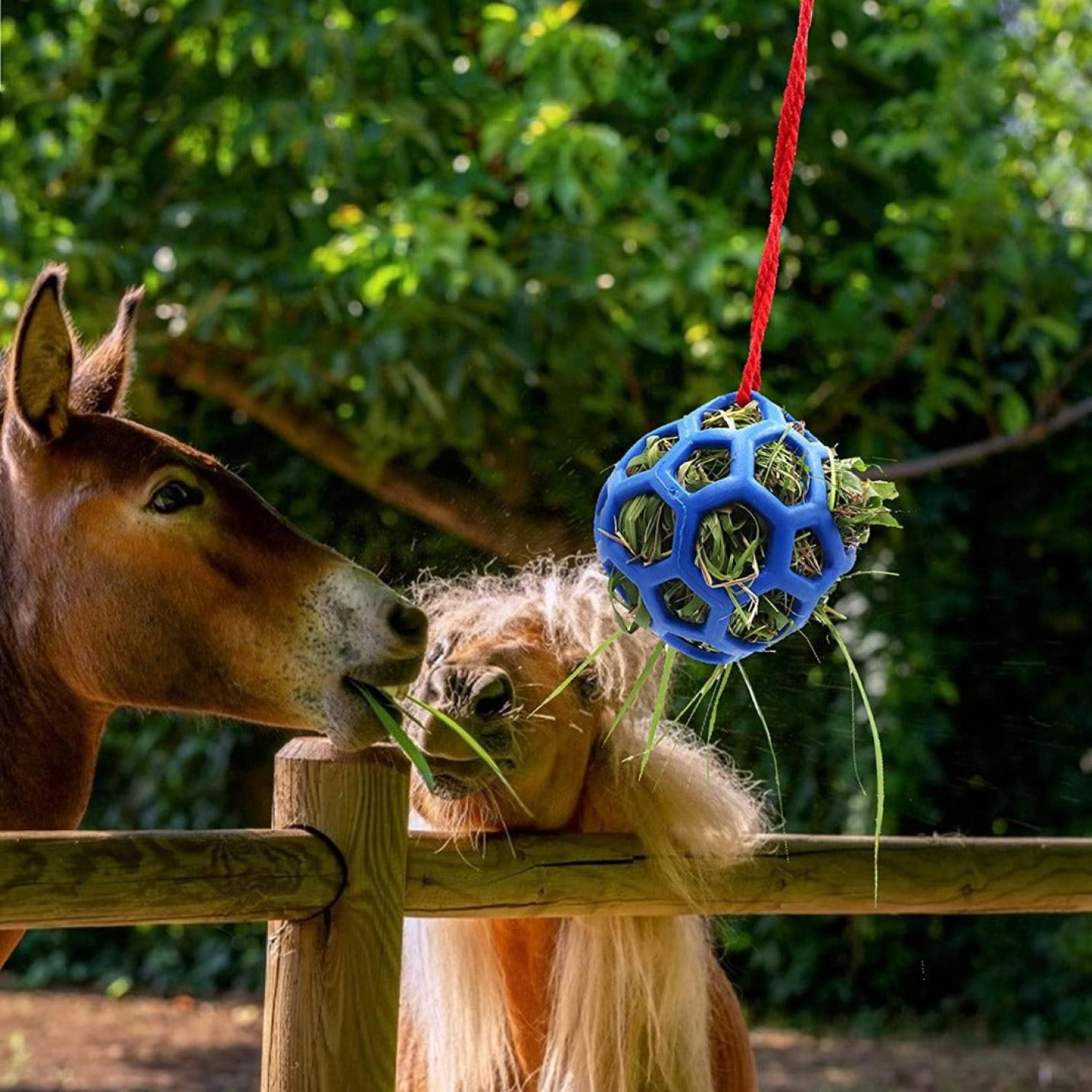 Set of 2 horse toys for treats and hay, hanging style