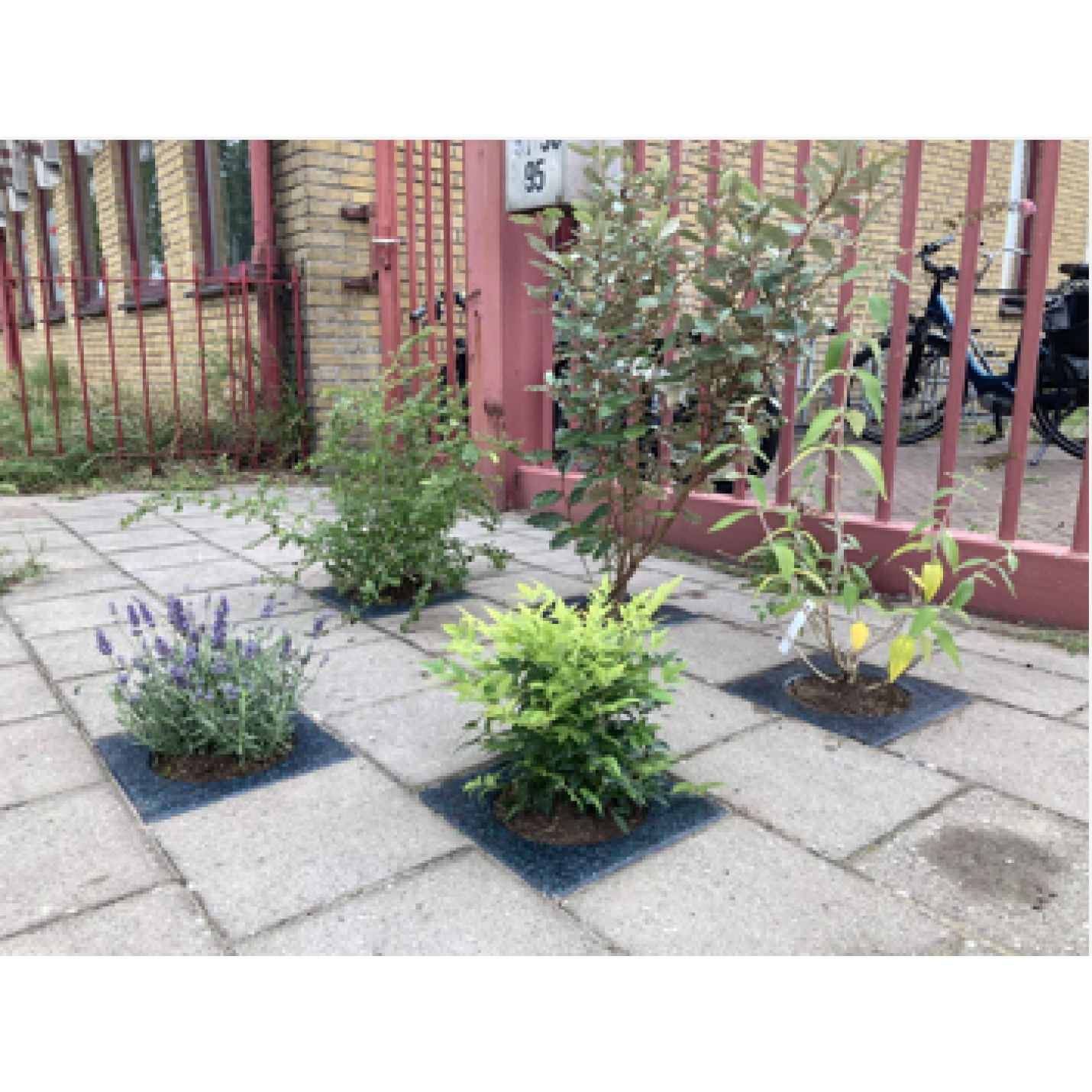 100% gerecyclede planttegel | NK tegelwippen; Afbeelding: 2