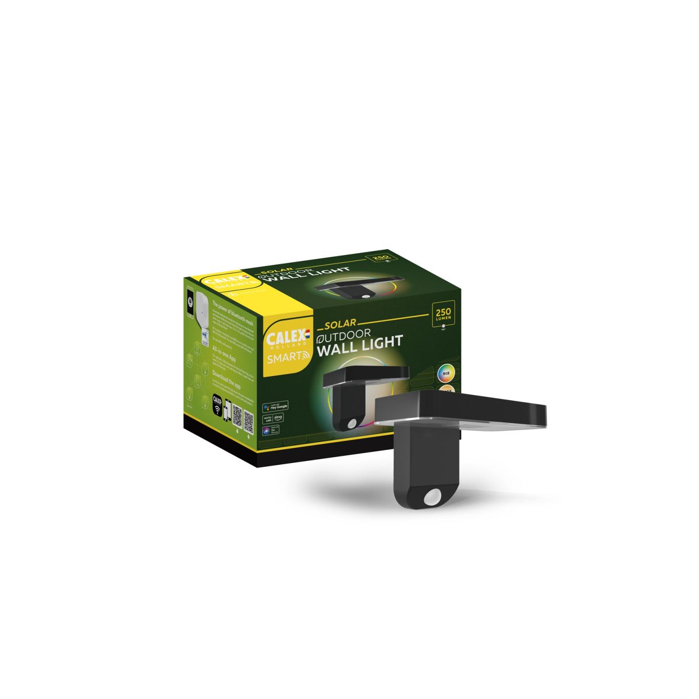 Calex Smart Outdoor Solar buitenlamp; Afbeelding: 2