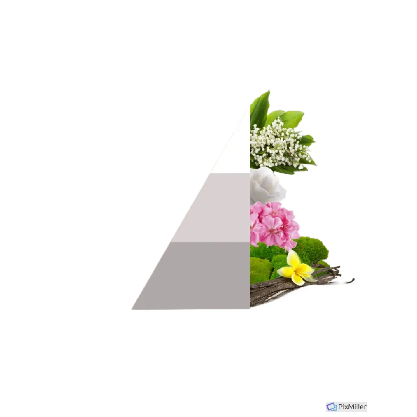 Geurzakjes White; Afbeelding: 2