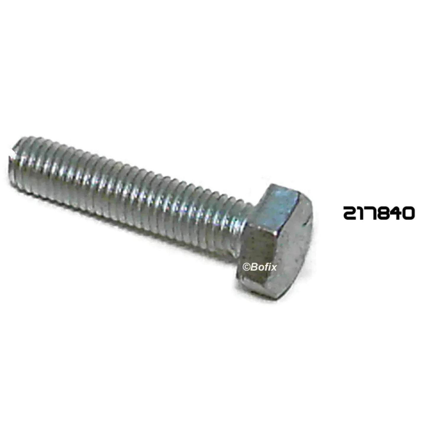 BOUT ZESKANTE KOP M10x30 mm (P.12) AE-trading
