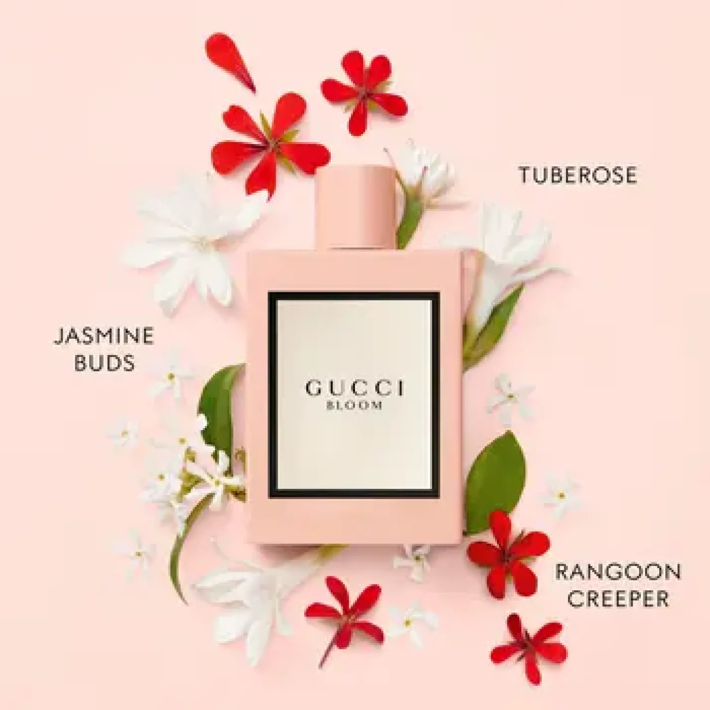 Gucci kindersokken 2025