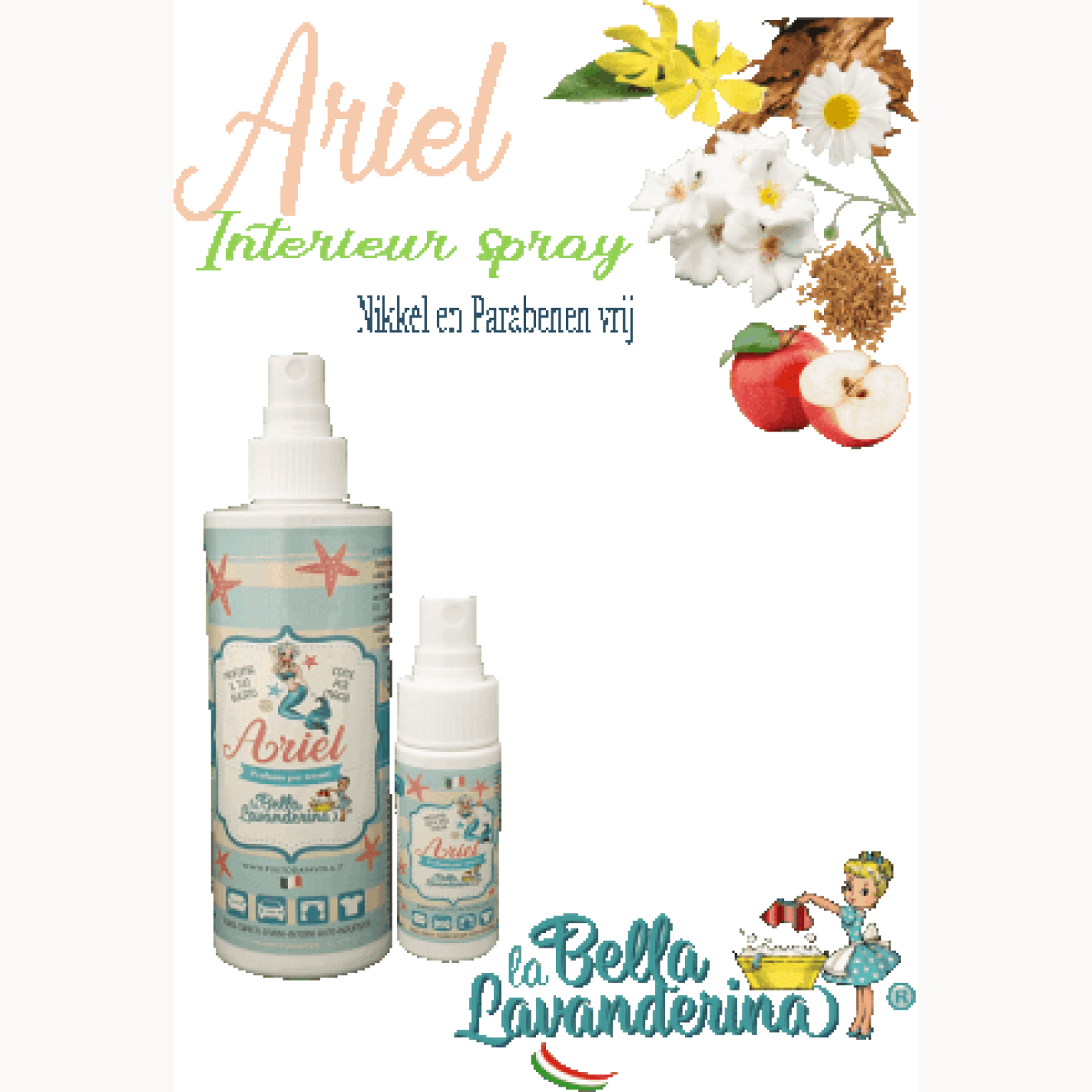 Interieurspray Ariel - La Bella Lavanderina