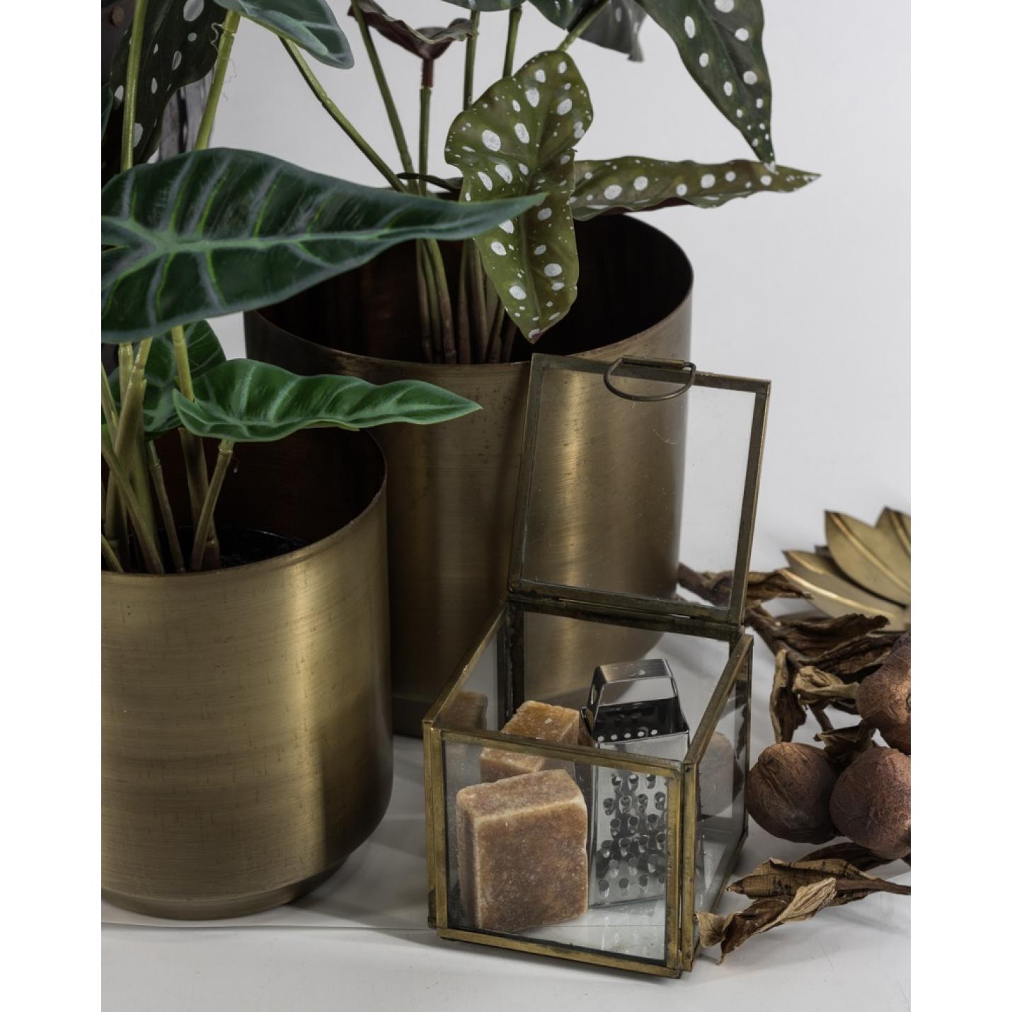 Glazen doosje 8x8x8cm vierkant goud met deksel - hb4875
