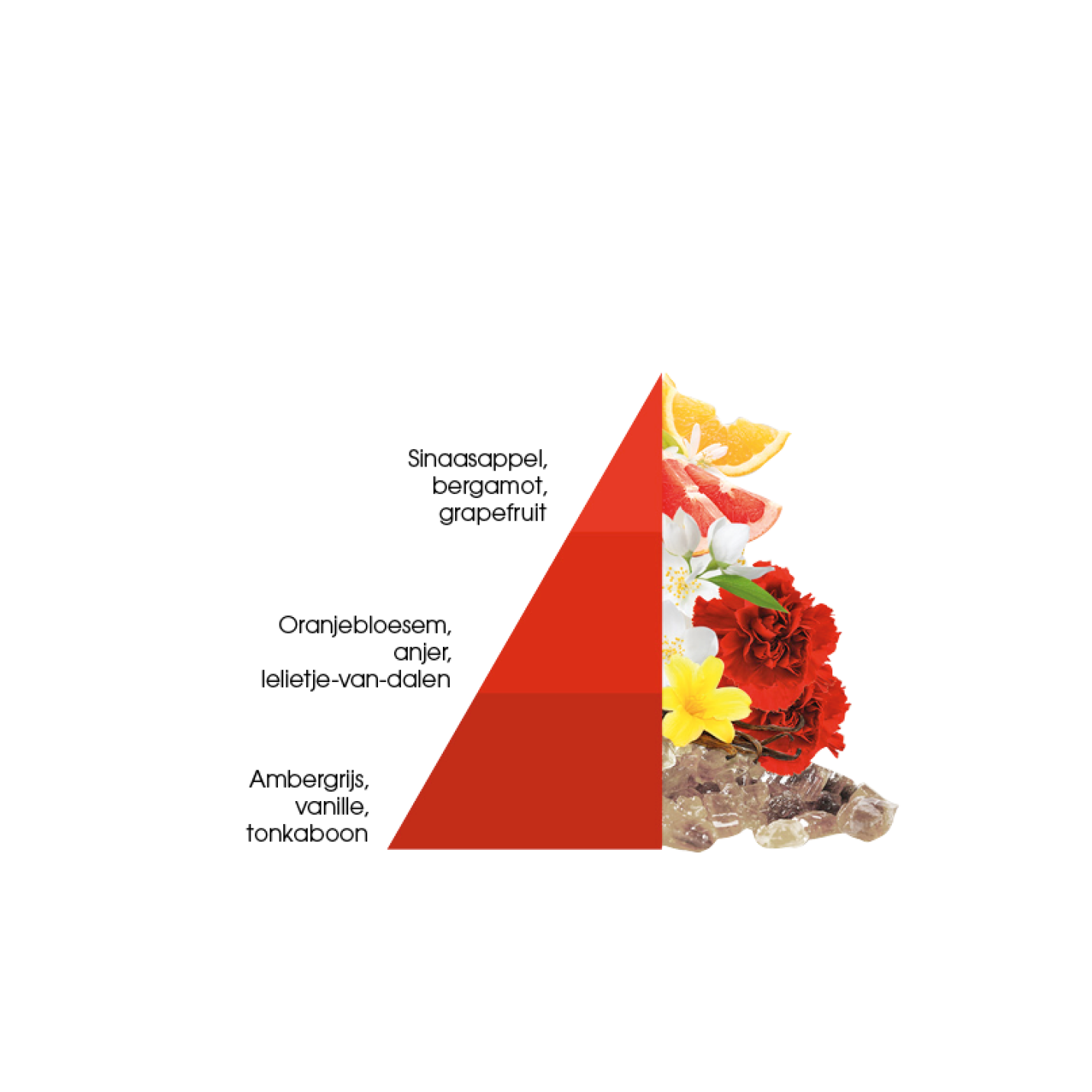 Wasparfum Imperial Soap 250ml – Horomia; Afbeelding: 2