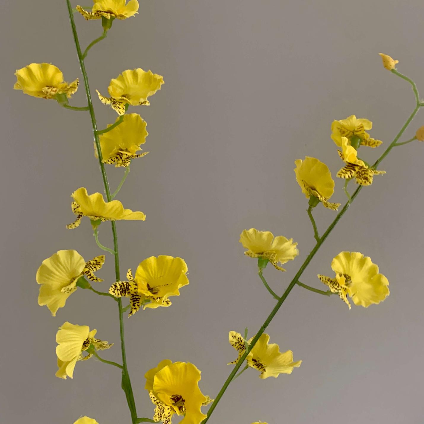 Zijden bloem Dancing Orchidee geel; Afbeelding: 3