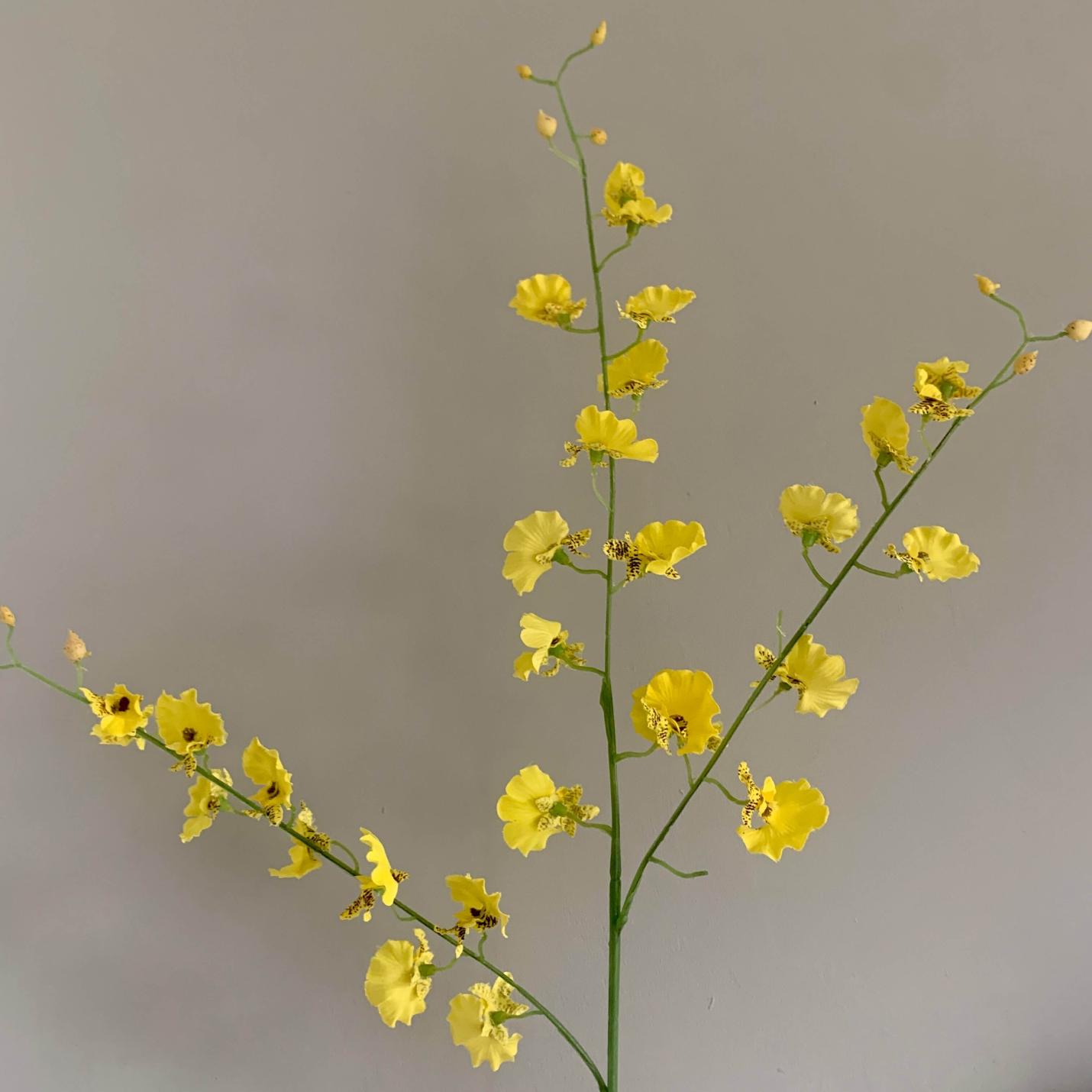 Zijden bloem Dancing Orchidee geel; Afbeelding: 2