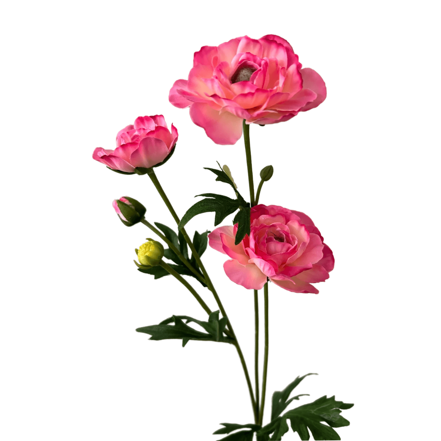 Zijden Bloem Ranonkel roze