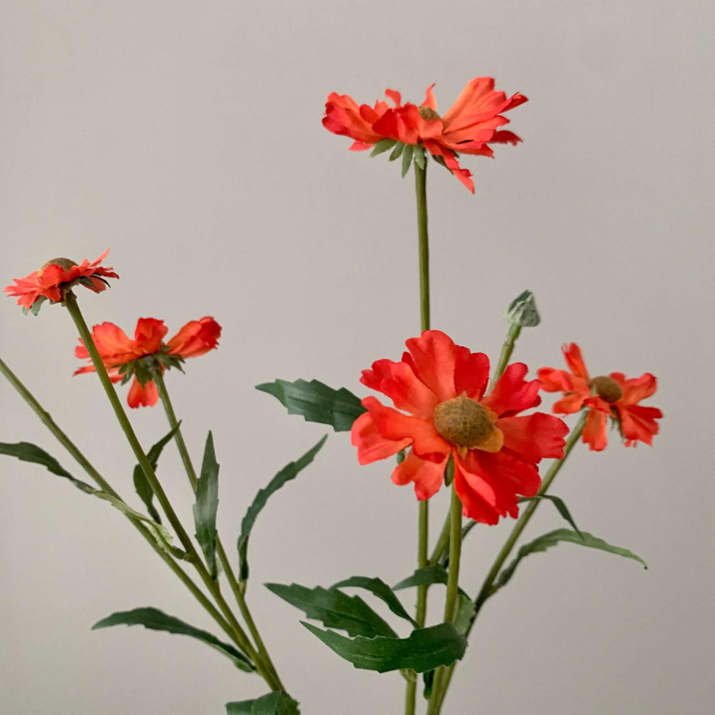 Zijden bloem Small Helenium (zonnekruid) oranje/rood; Afbeelding: 2