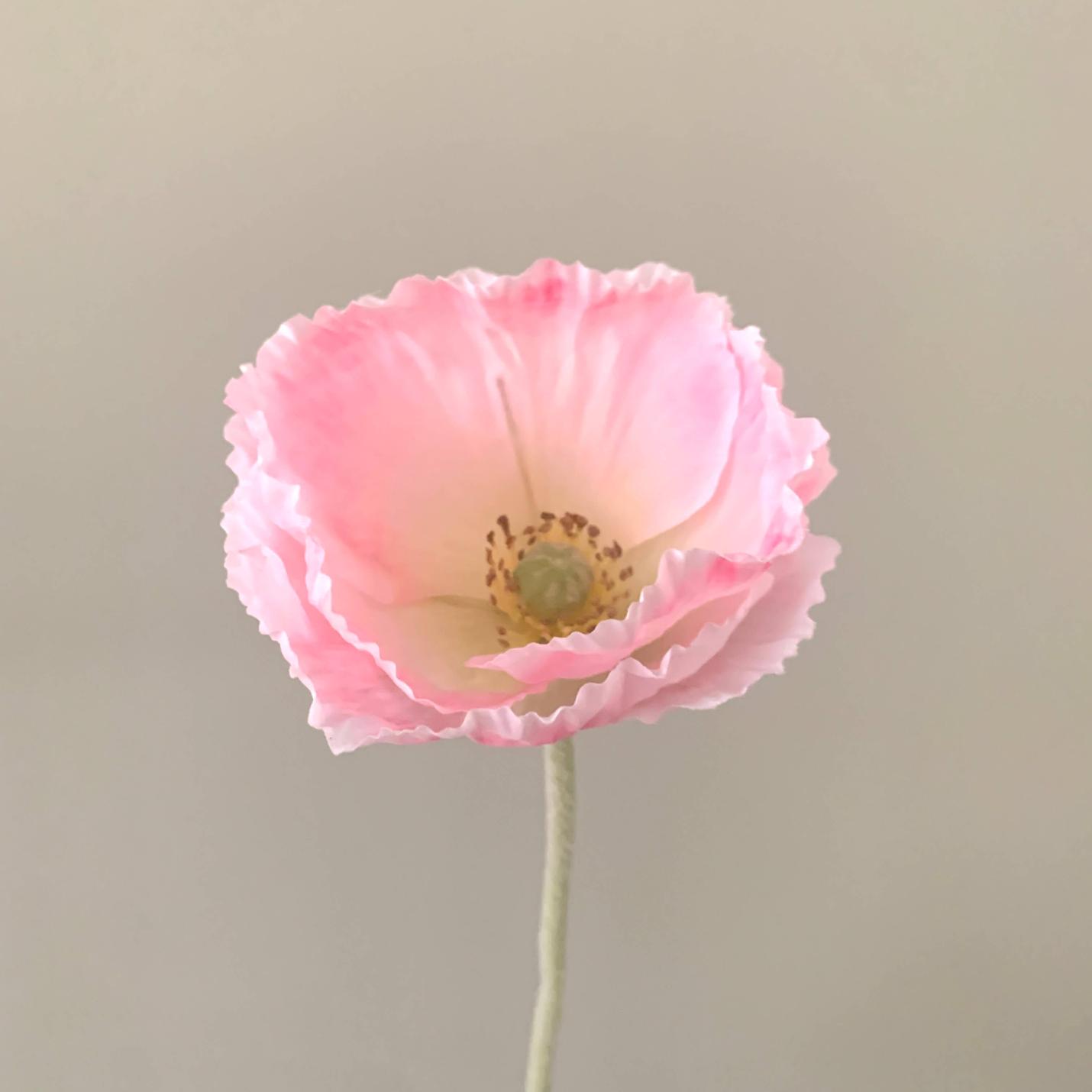 Zijden bloem Klaproos roze; Afbeelding: 2