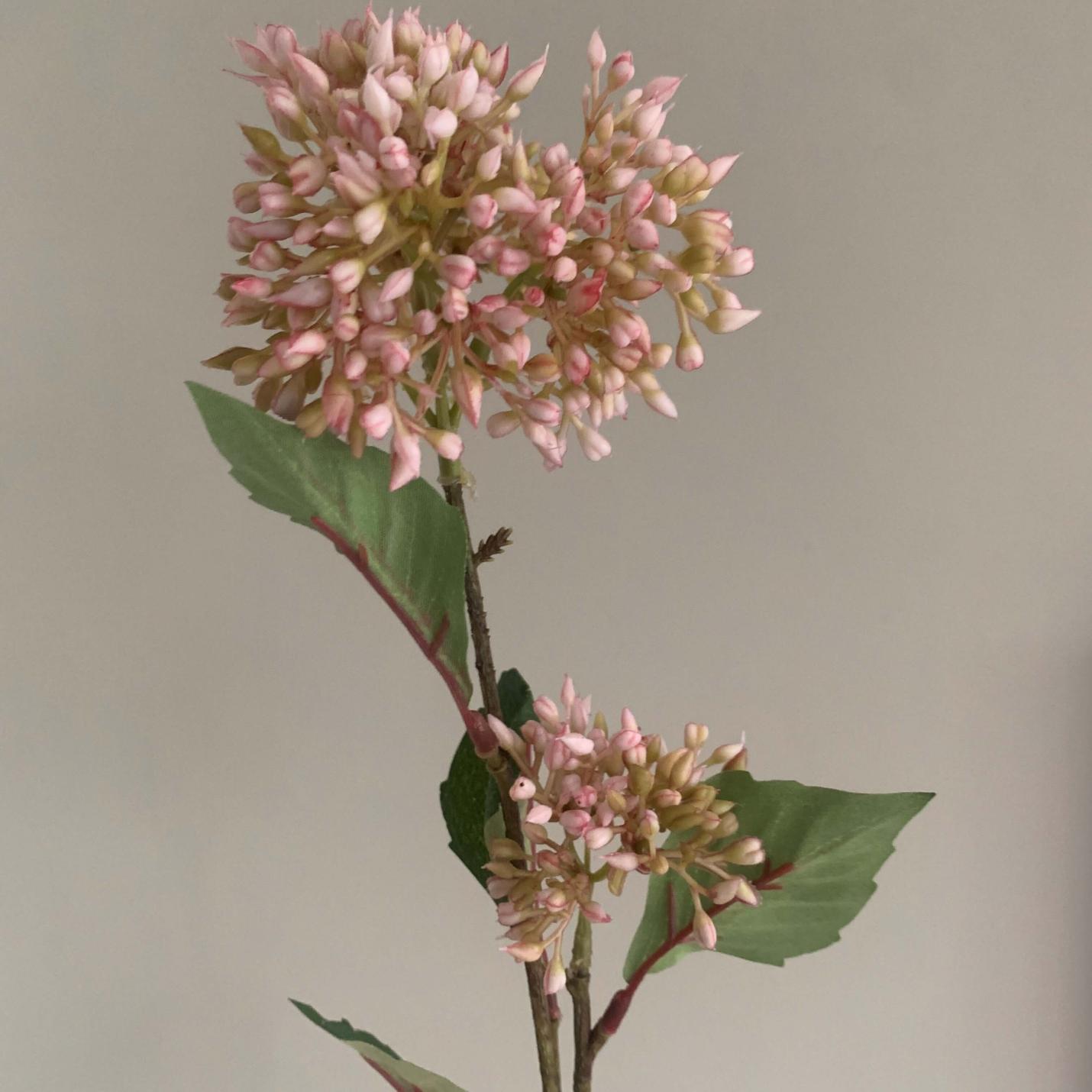 Zijden bloem Sedum; Afbeelding: 2