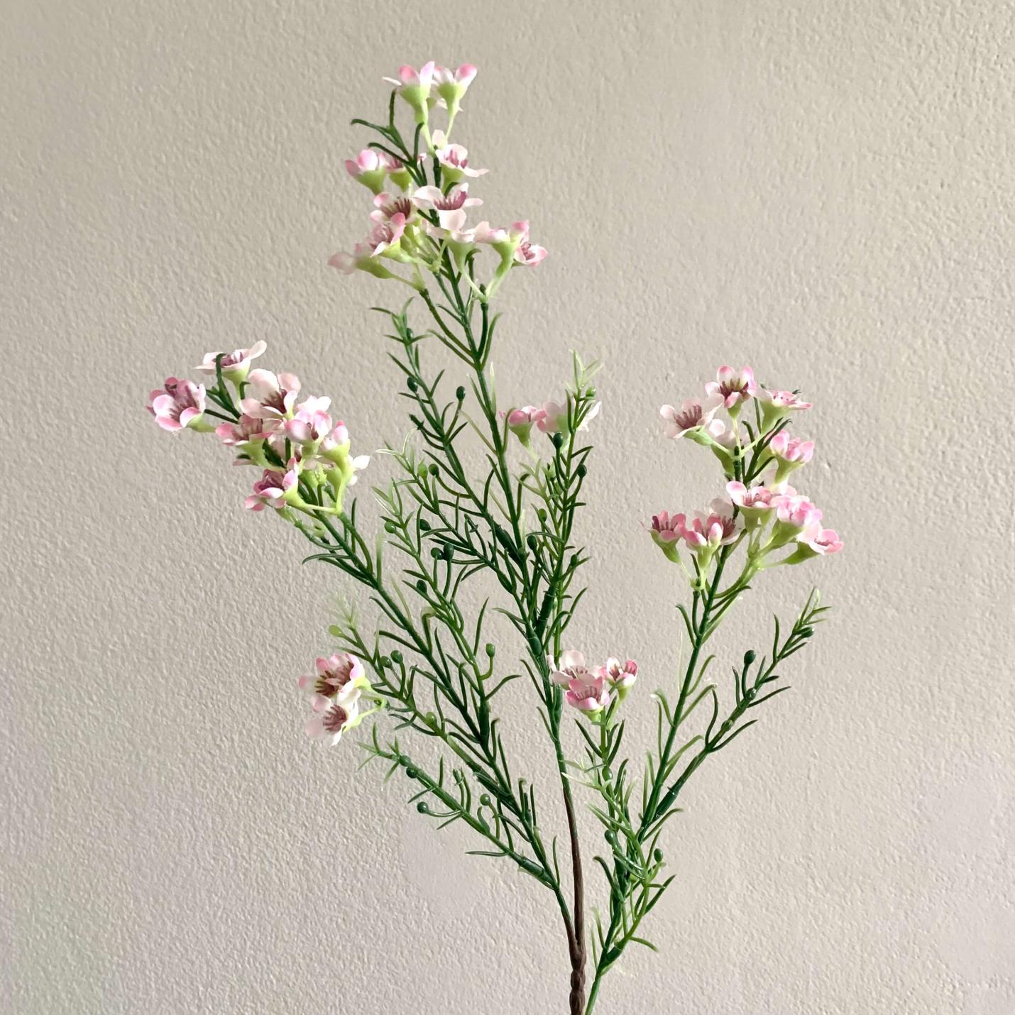 Kunstbloemen Wax flower zacht roze; Afbeelding: 2