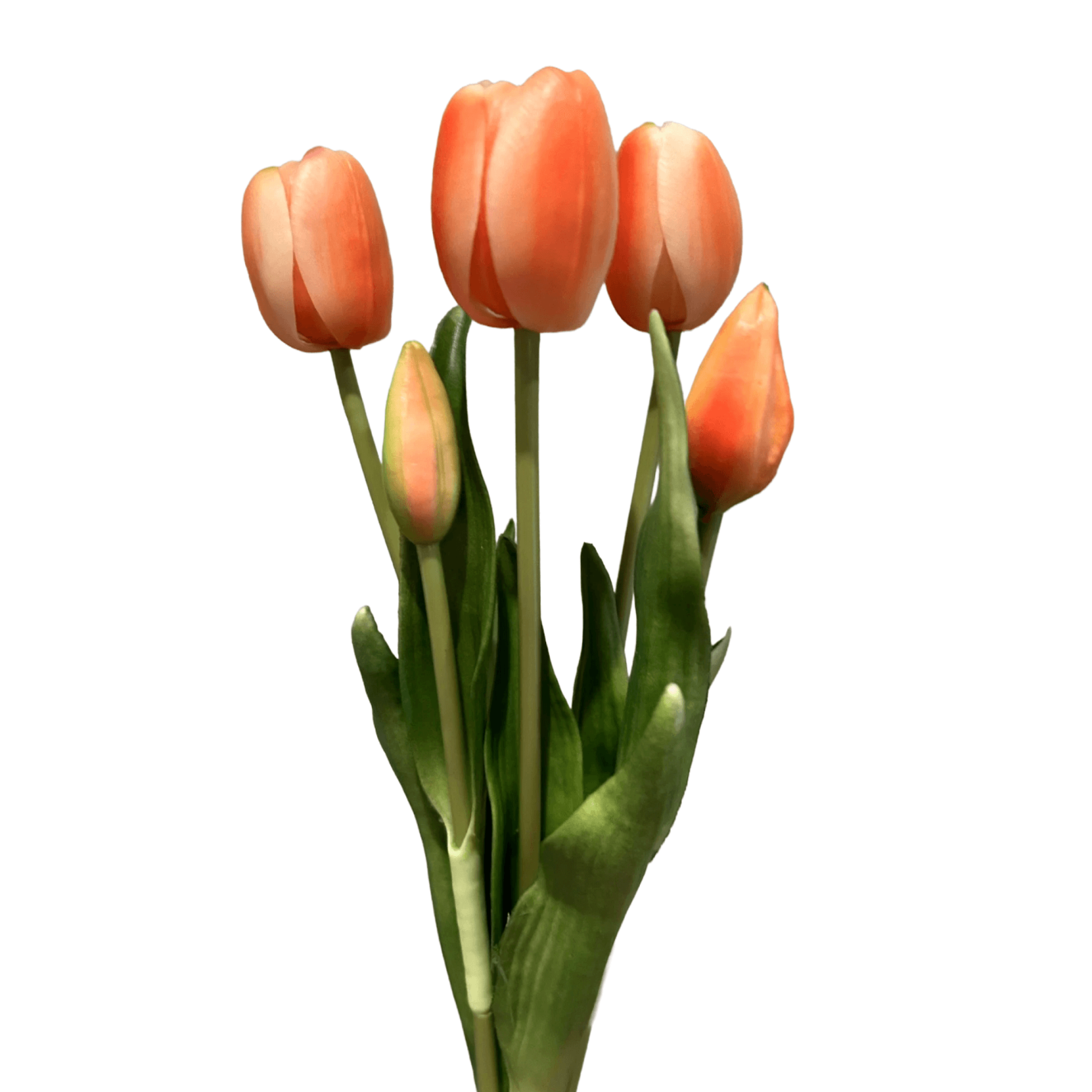 Tulpen bundel met 5 tulpen peach/oranje