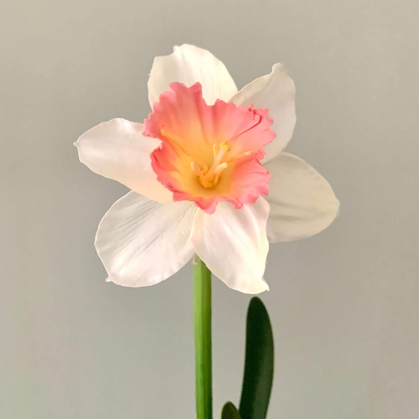 Zijden bloem  Narsis; Afbeelding: 2