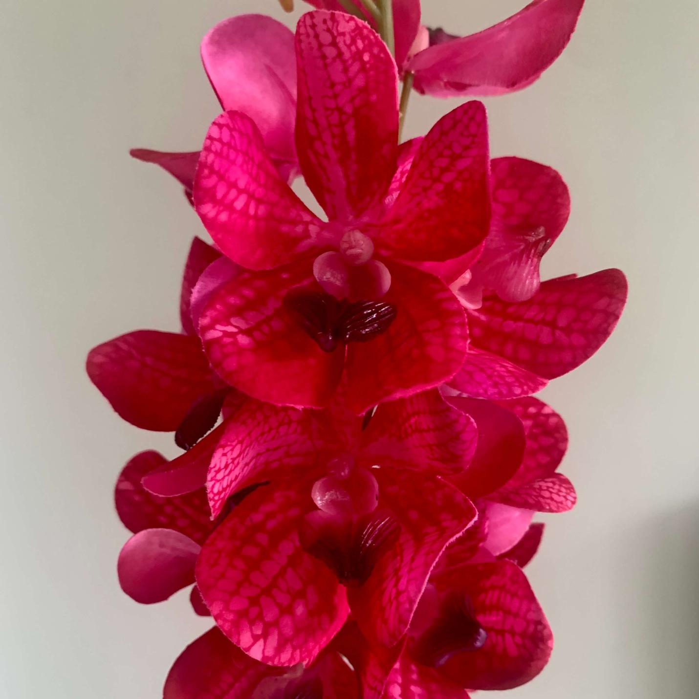 Zijden bloem Vanda Orchidee; Afbeelding: 2