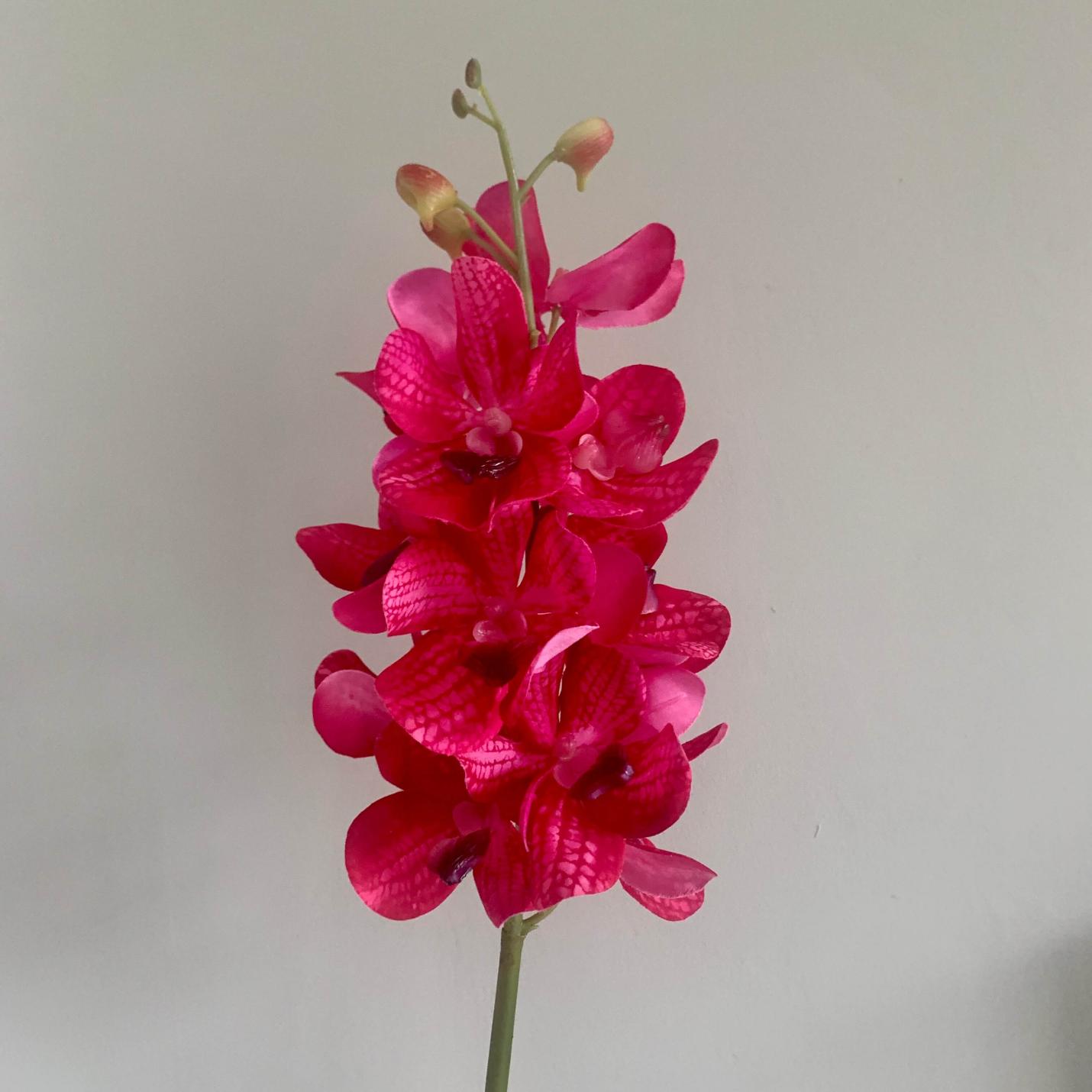 Zijden bloem Vanda Orchidee; Afbeelding: 3
