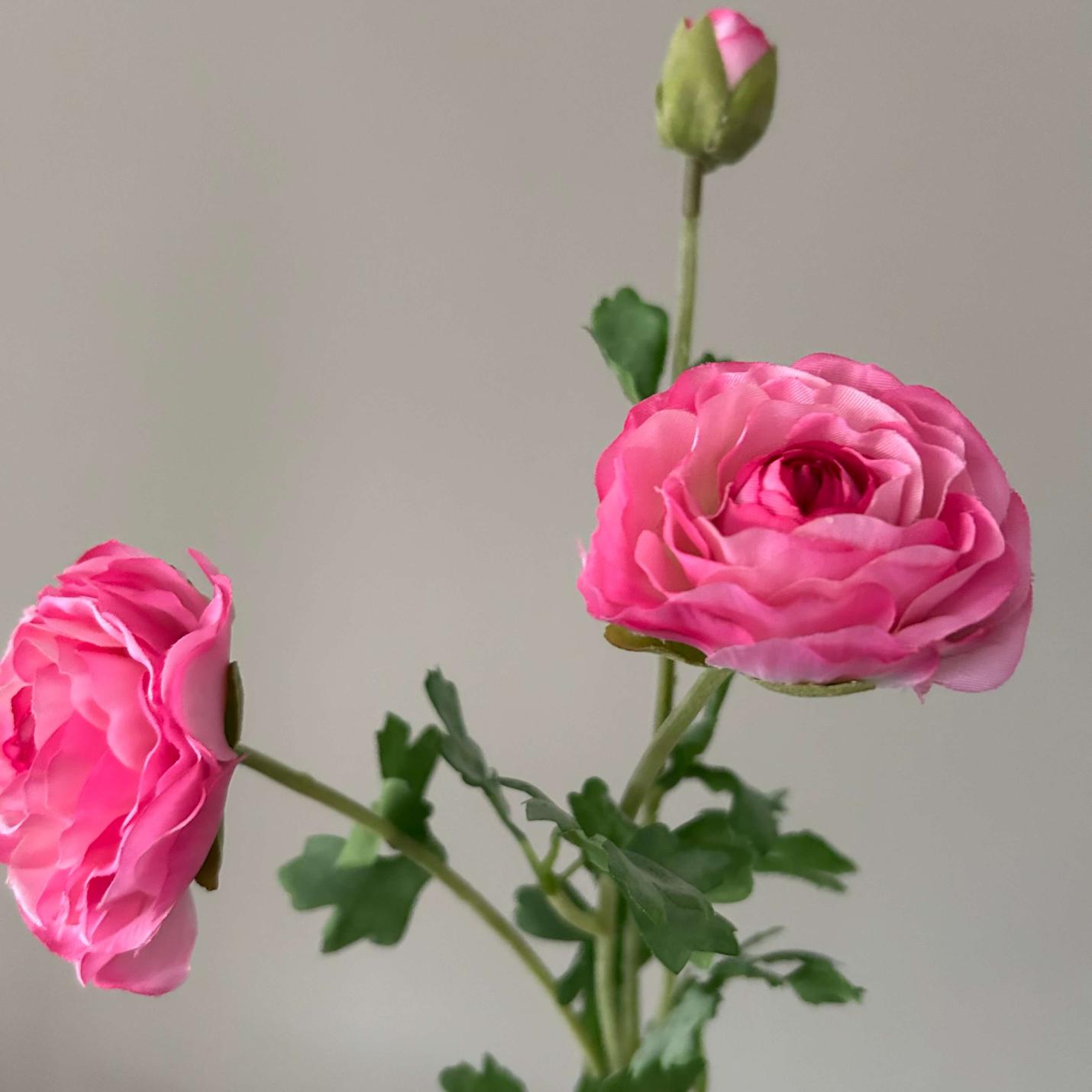 Zijden Bloem Ranonkel roze; Afbeelding: 2