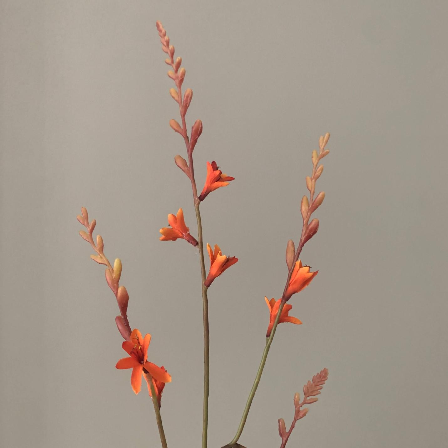 Zijden bloem Crocosmia oranje; Afbeelding: 2