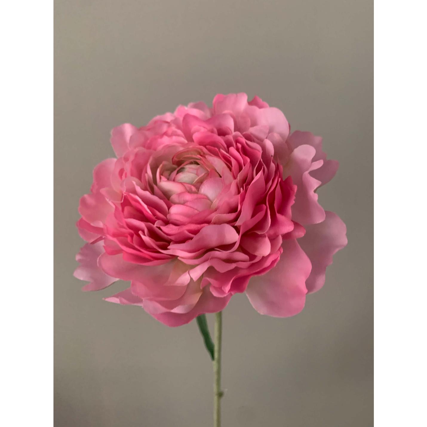 Zijden Bloem Ranonkel roze; Afbeelding: 2