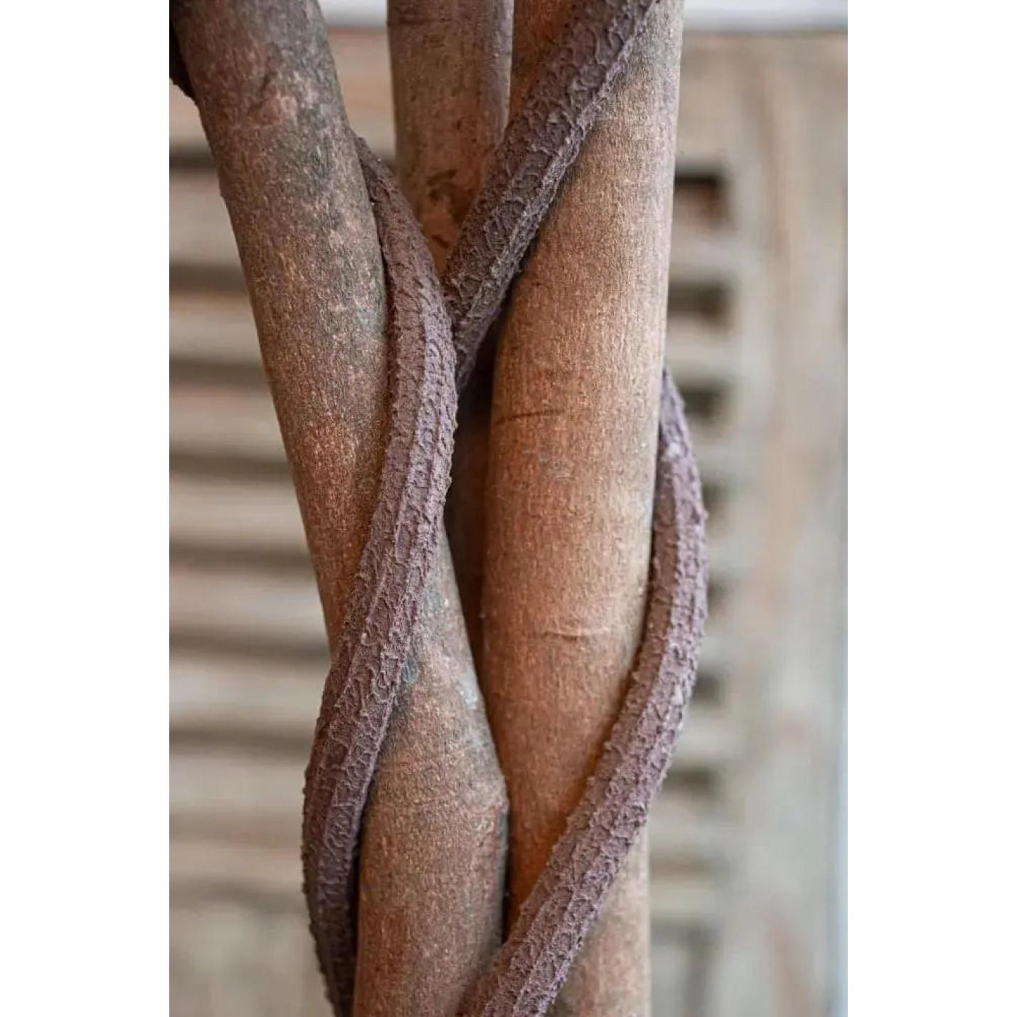 Bougainvillea  | Kunstplant | 165 cm | Natuurlijke Stam | Met of zonder Luxe pot De Kleurrijke