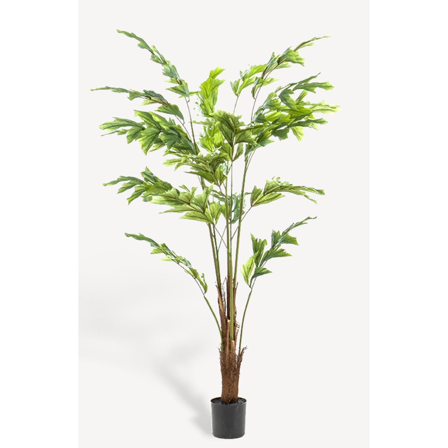 Palm Fishtail Kunstplant - 135 cm - Collectie van hoogwaardige kunstplanten en zijden bloemboeketten, inclusief kunstbloemen en nepplanten voor interieurdecoratie, perfect voor een onderhoudsvrij, groen thuis of kantoor.