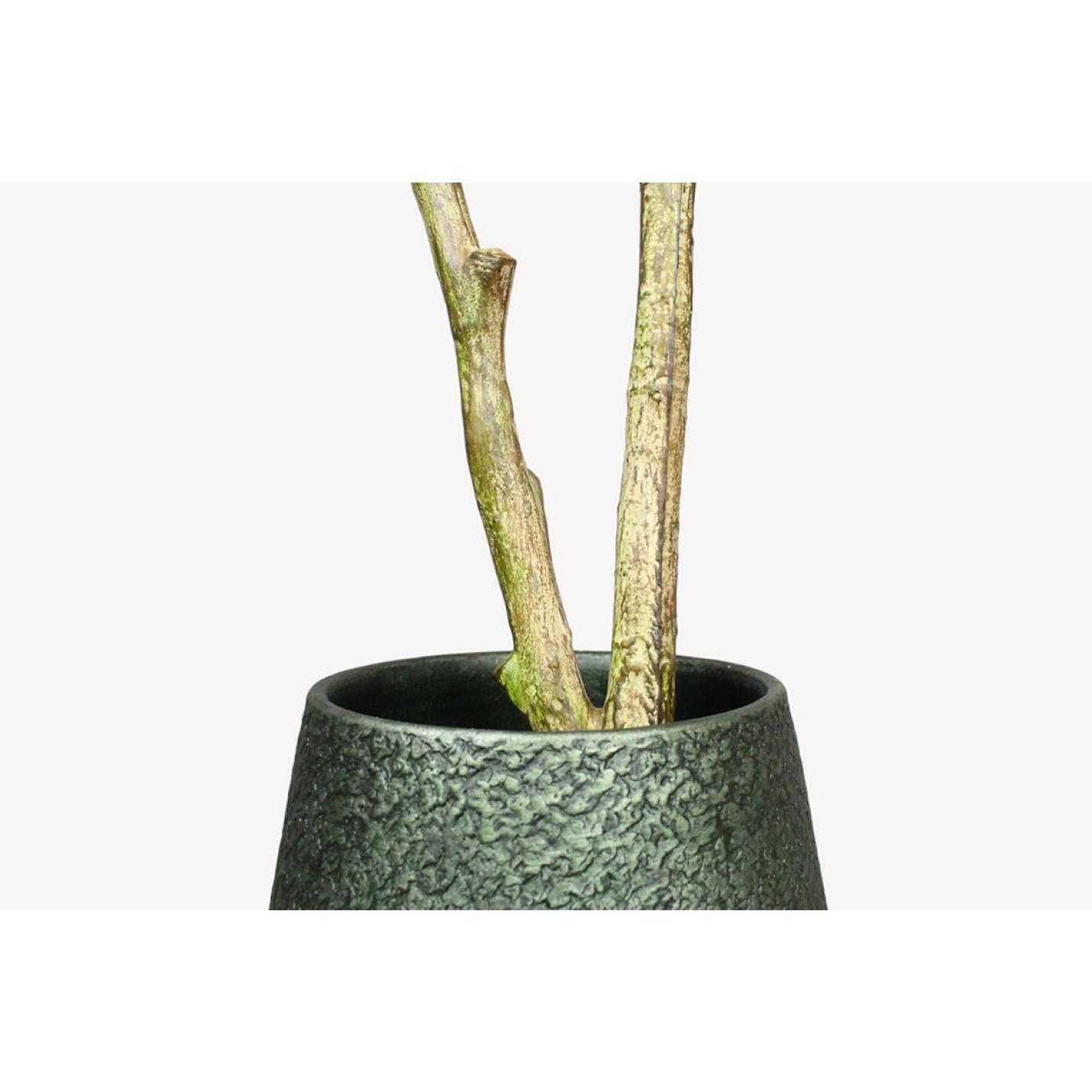 Sophora Kunstplant - 140 cm - Collectie van hoogwaardige kunstplanten en zijden bloemboeketten, inclusief kunstbloemen en nepplanten voor interieurdecoratie, perfect voor een onderhoudsvrij, groen thuis of kantoor.