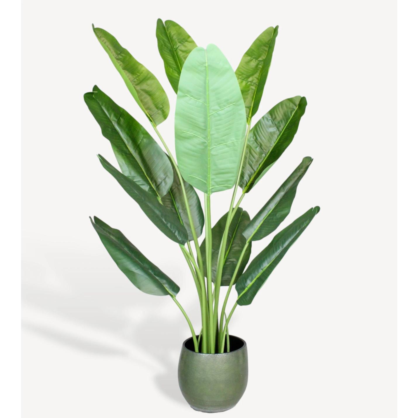 Strelitzia XL Kunstplant - 160 cm - Collectie van hoogwaardige kunstplanten en zijden bloemboeketten, inclusief kunstbloemen en nepplanten voor interieurdecoratie, perfect voor een onderhoudsvrij, groen thuis of kantoor.