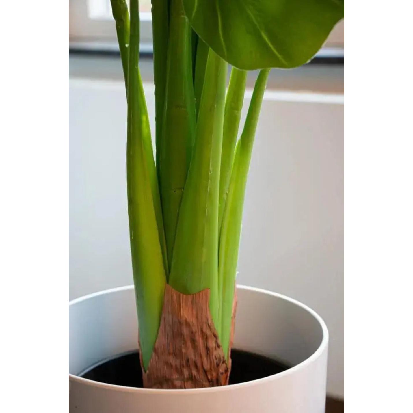 Taro kunstplant | Kunstplant | 120 cm | Met of zonder Luxe pot De Knappe