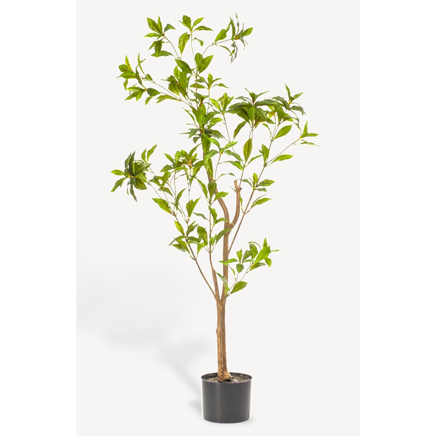 Tea Leaf Kunstplant - 120 cm - Collectie van hoogwaardige kunstplanten en zijden bloemboeketten, inclusief kunstbloemen en nepplanten voor interieurdecoratie, perfect voor een onderhoudsvrij, groen thuis of kantoor.