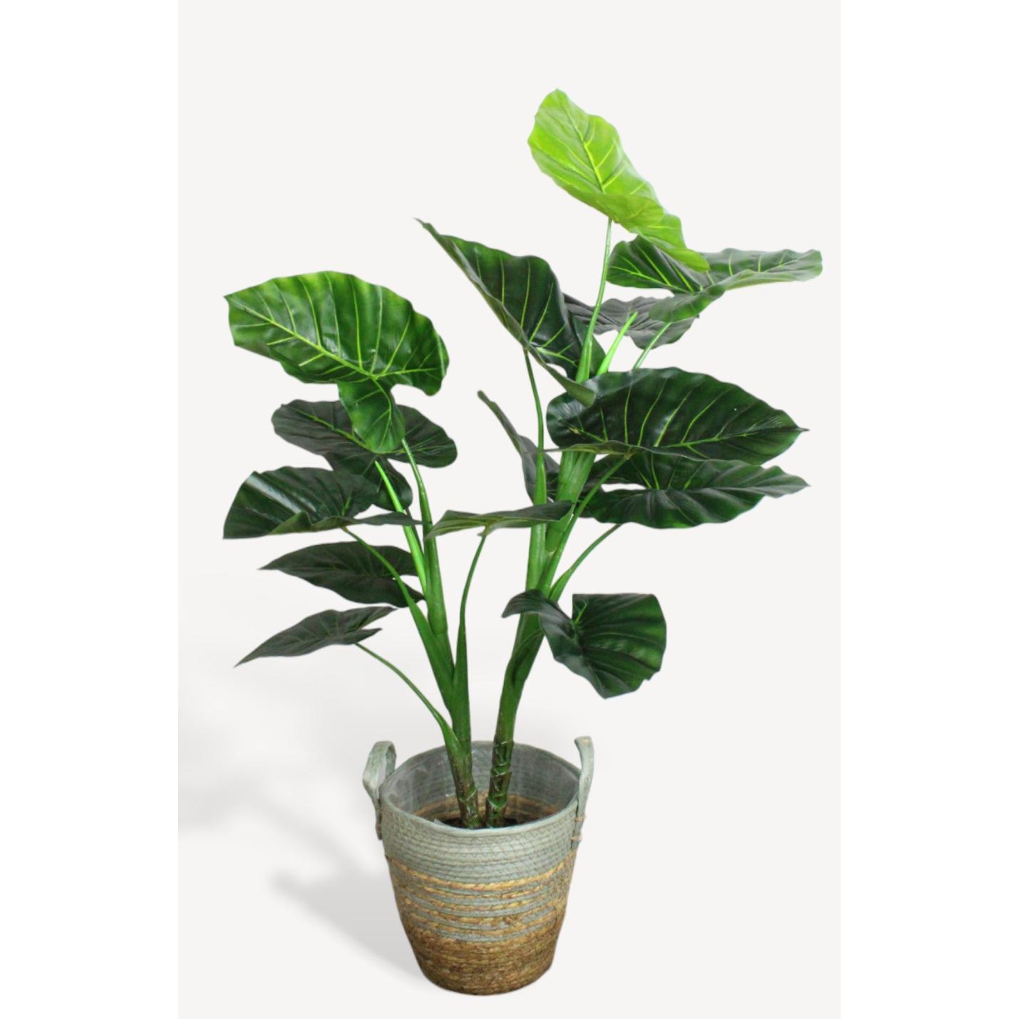 Taro Kunstplant - 100 cm - Collectie van hoogwaardige kunstplanten en zijden bloemboeketten, inclusief kunstbloemen en nepplanten voor interieurdecoratie, perfect voor een onderhoudsvrij, groen thuis of kantoor.