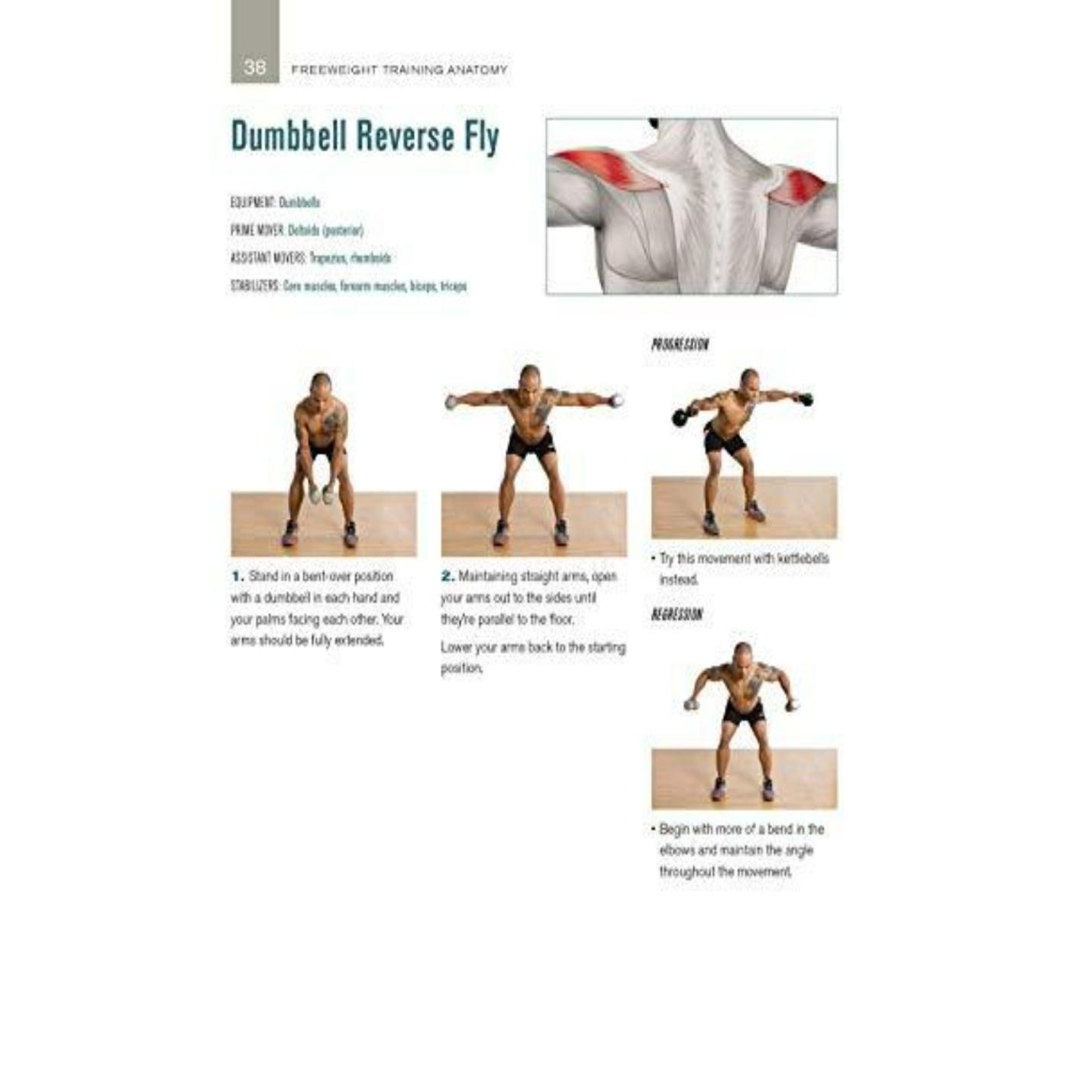 Illustratie uit 'Freeweight Training Anatomy: An Illustrated Guide to the Muscles Used While Exercise with Dumbbells, Barbells, and Kettlebells and More' met stapsgewijze omgekeerde dumbbell-oefeningen uitgevoerd door een gespierde man, inclusief diagrammen van de spieranatomie die bij de oefening betrokken is .
