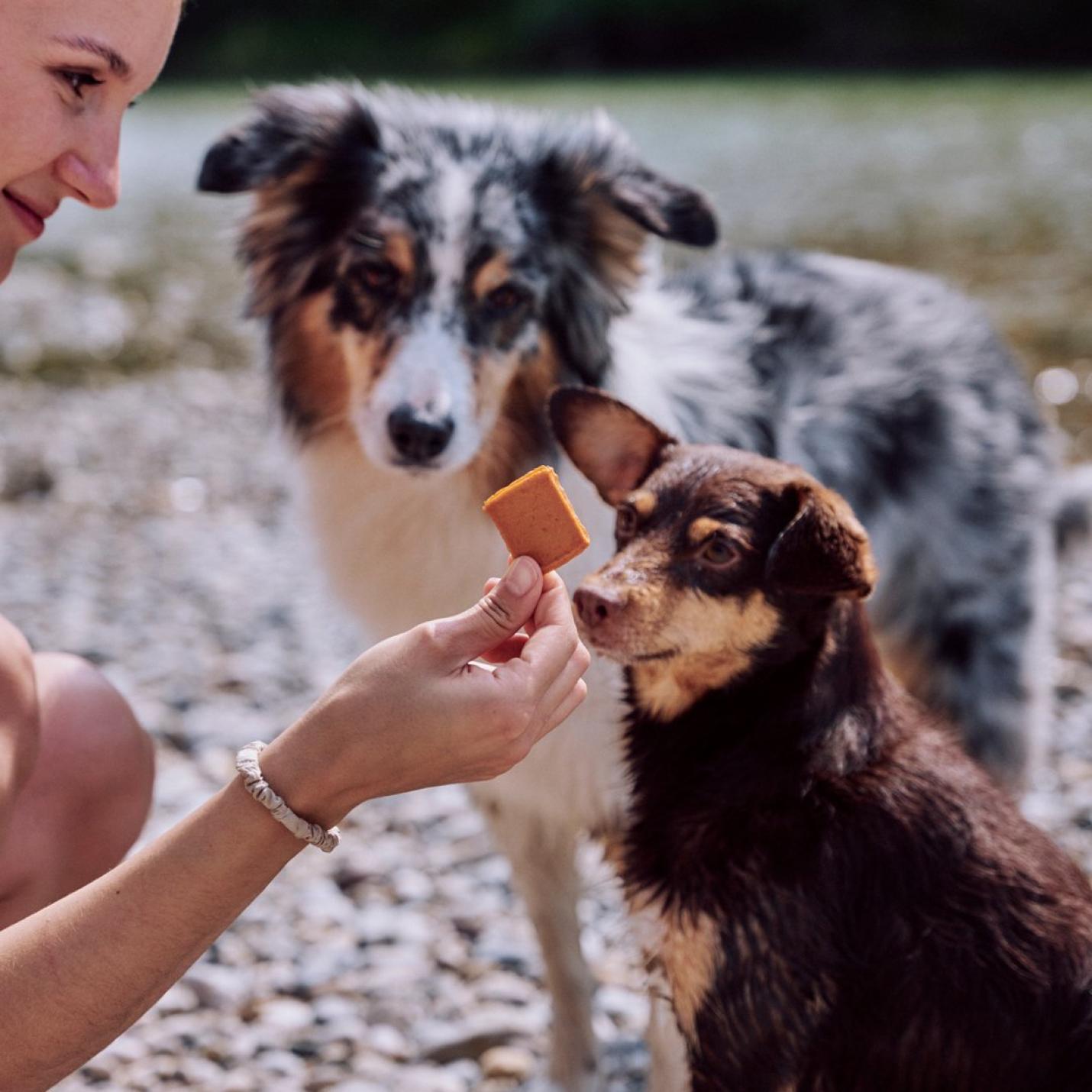 Vegdog Jerkeys 80 g; Afbeelding: 2