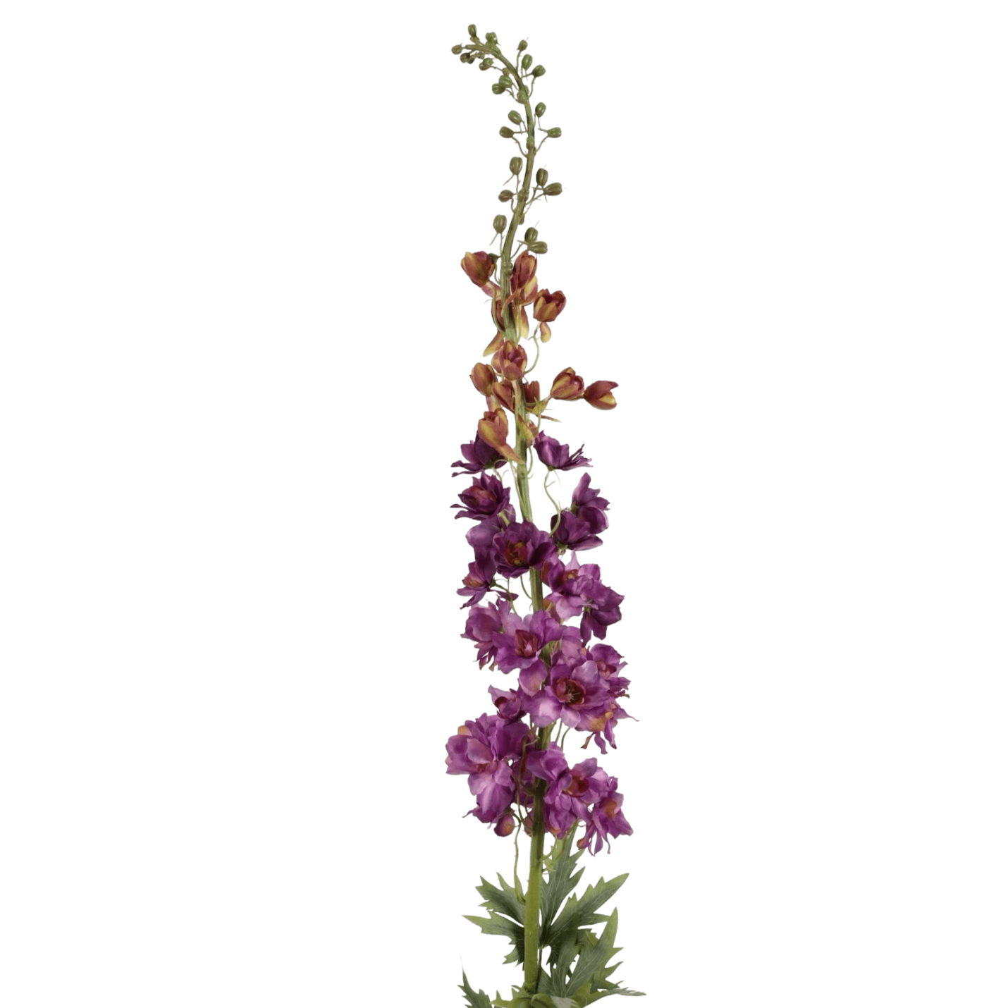 Delphinium Tak – Paarse Bloemen, 137 cm