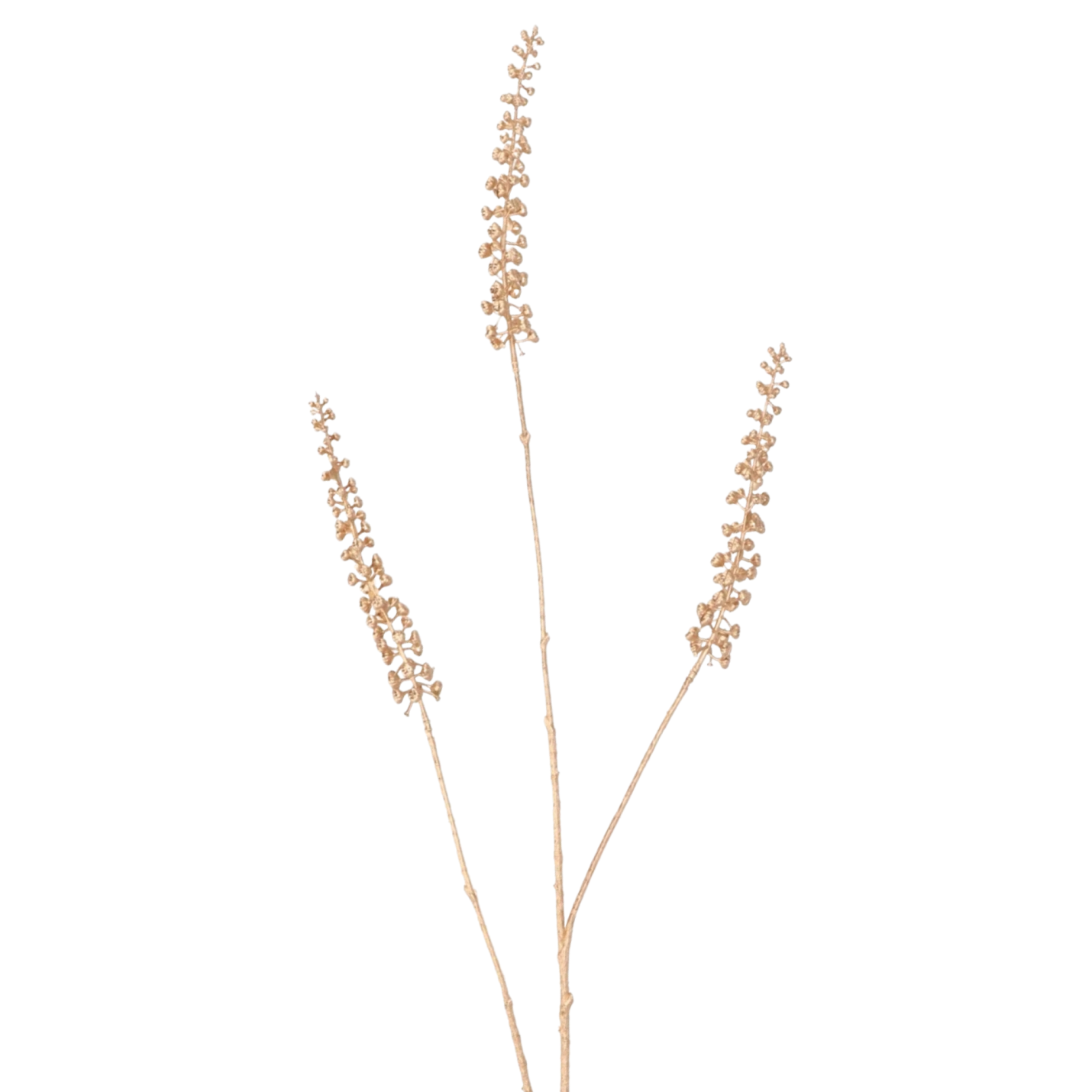 Phytolacca Kunsttak goud