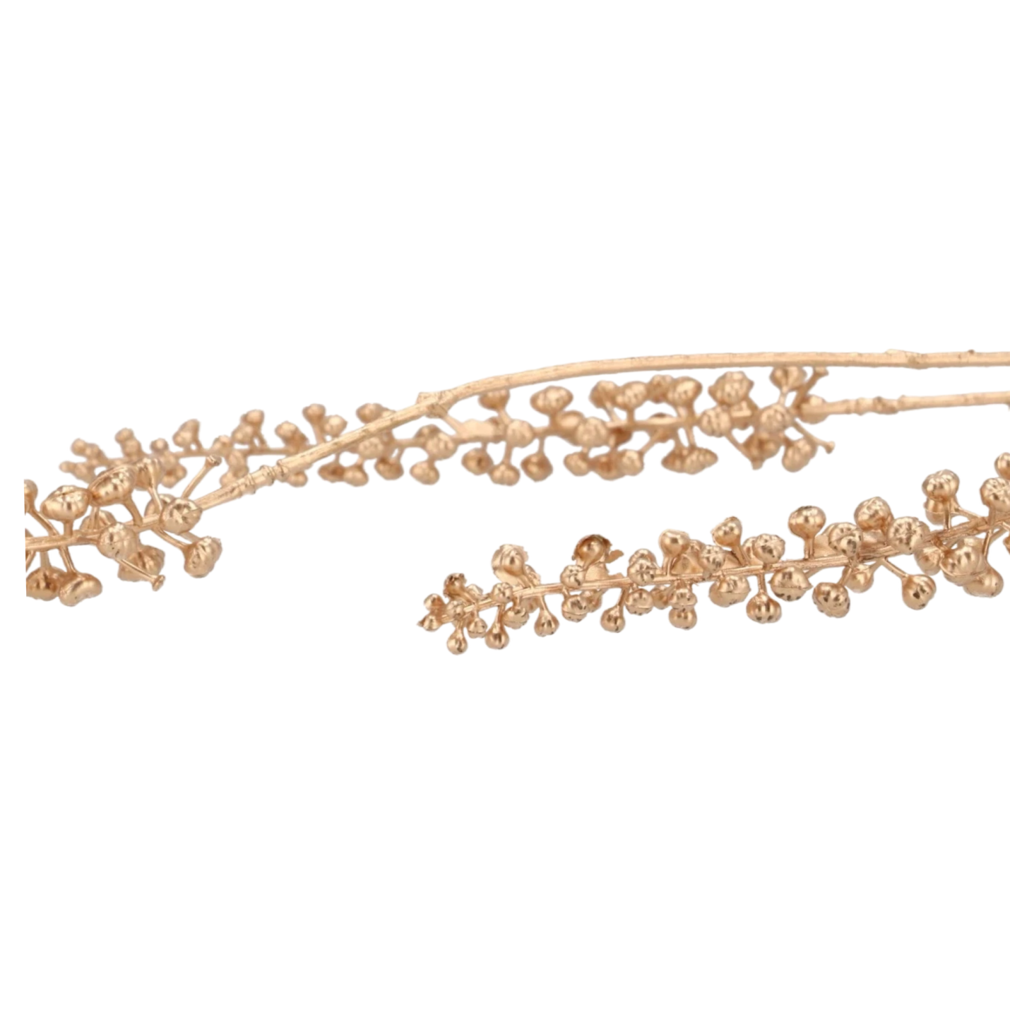 Phytolacca Kunsttak goud; Afbeelding: 2