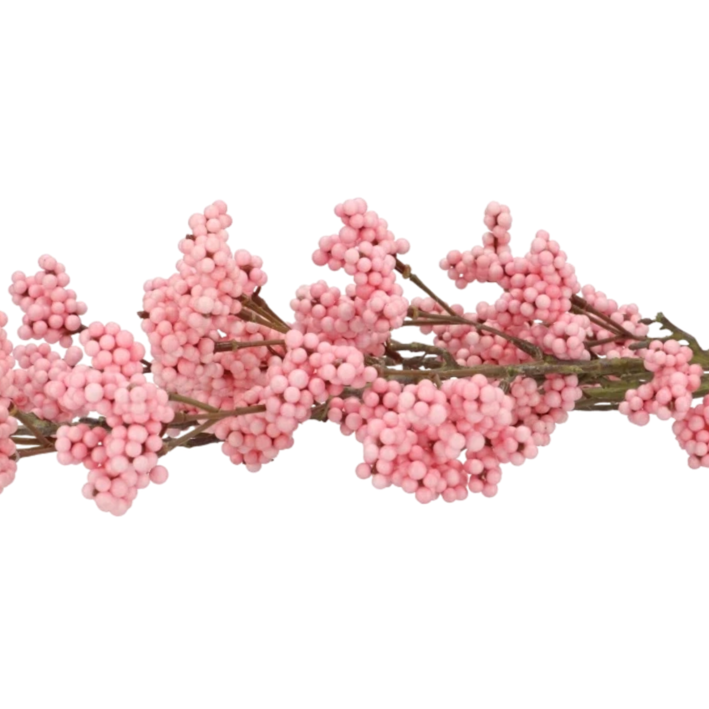 Kunst bessentak Callicarpa -roze; Afbeelding: 2