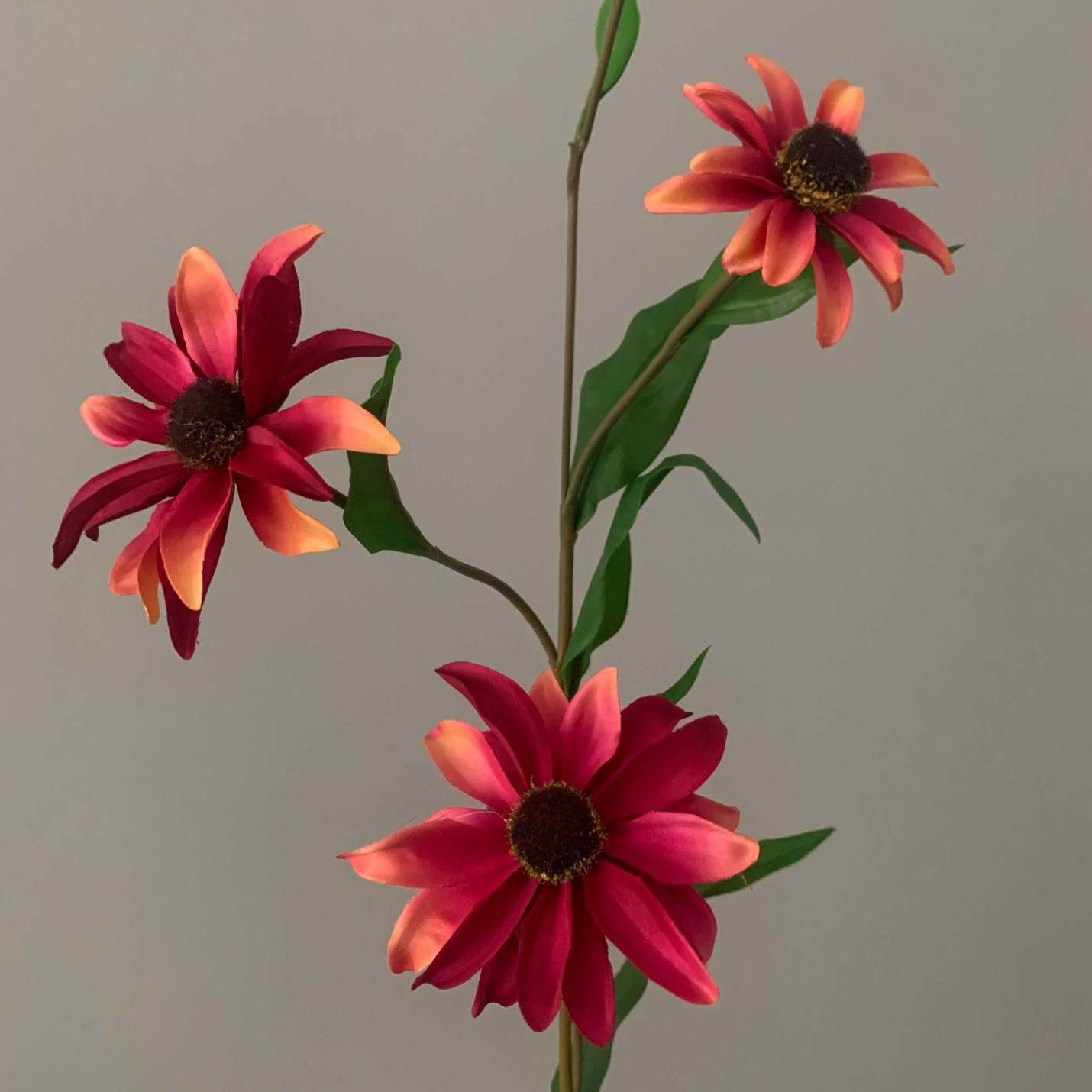 Zijden bloem Black eyes Susan; Afbeelding: 2