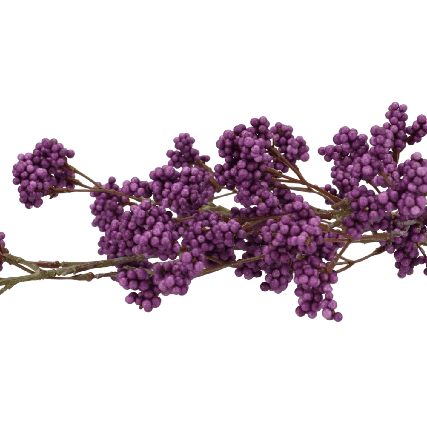 Kunst bessentak Callicarpa -paars; Afbeelding: 2