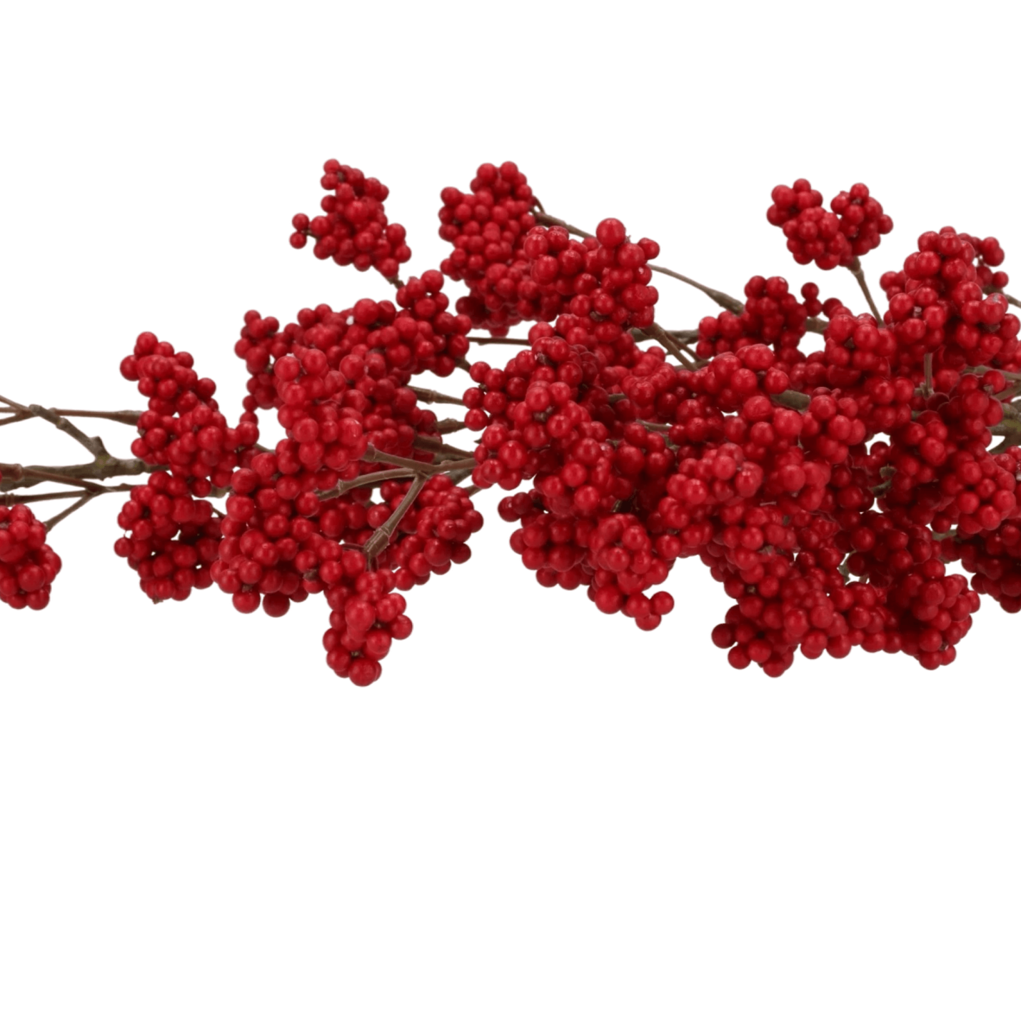 Kunst bessentak Callicarpa -rood; Afbeelding: 2