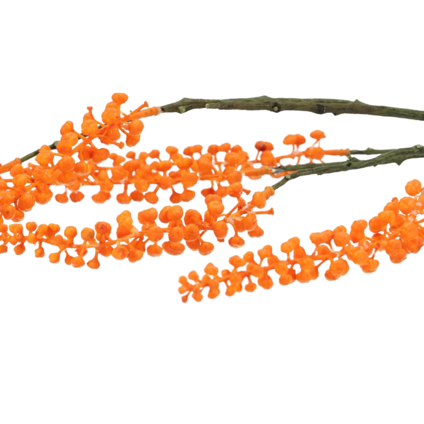 Phytolacca Kunsttak oranje; Afbeelding: 2