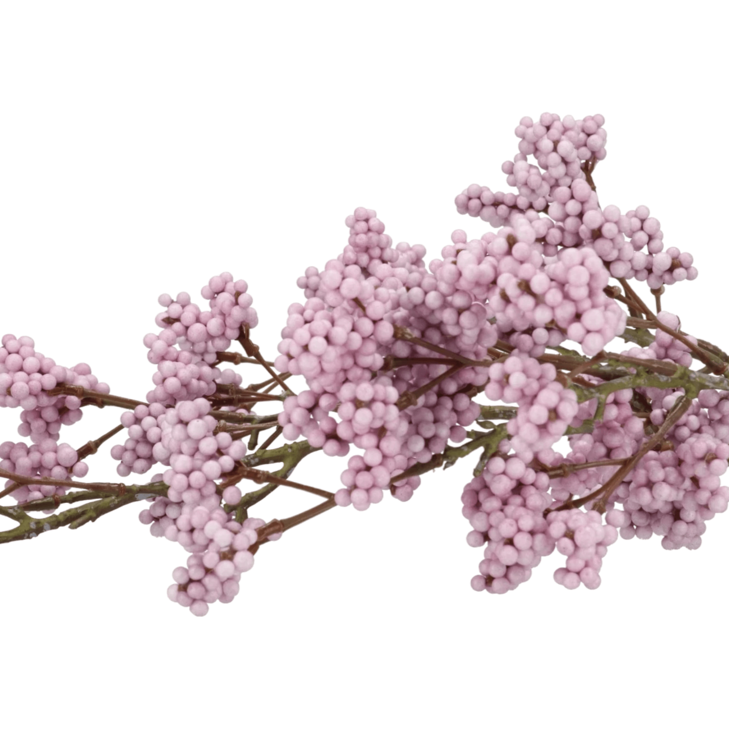 Kunst bessentak Callicarpa - licht paars; Afbeelding: 2