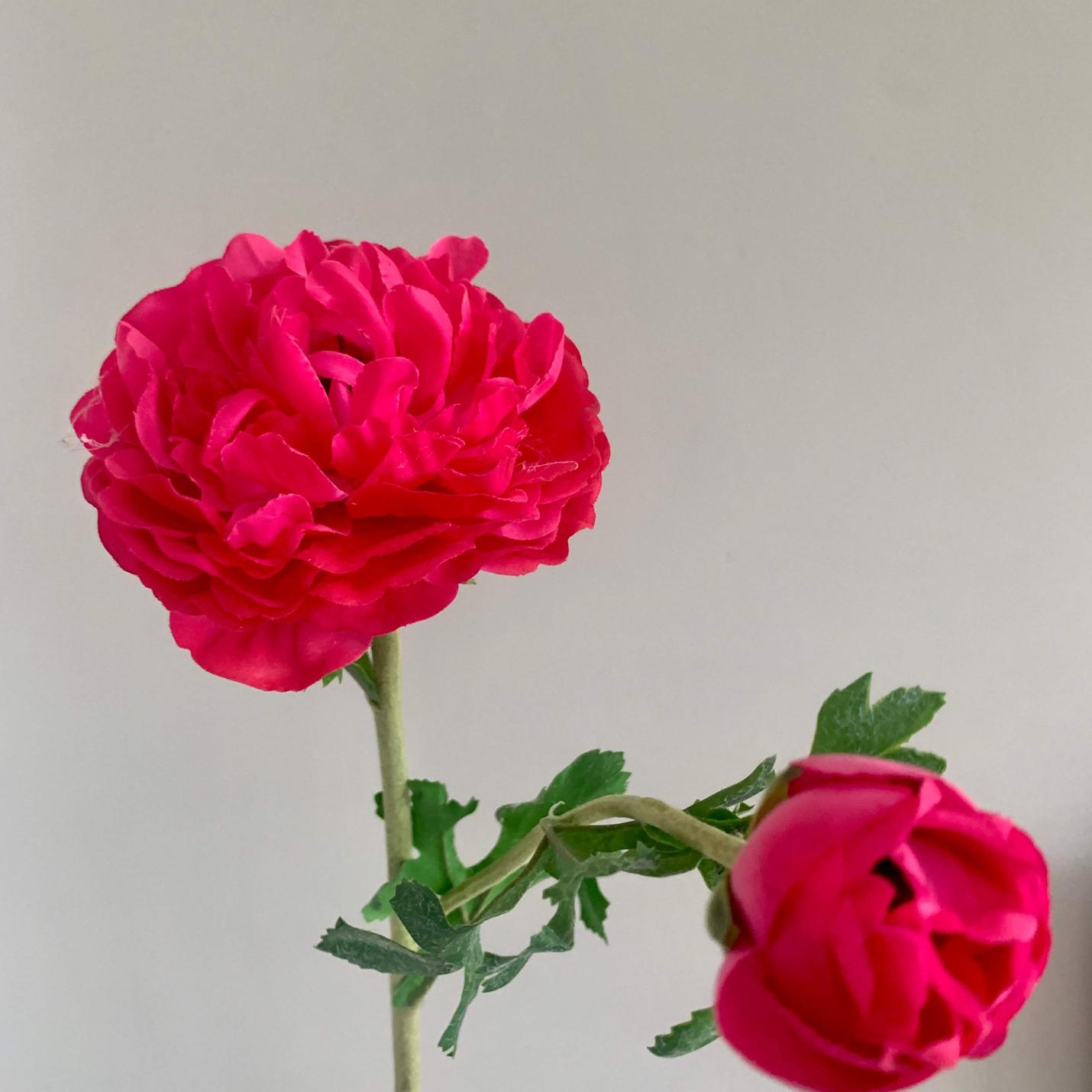 Zijden bloem Ranonkel; Afbeelding: 2