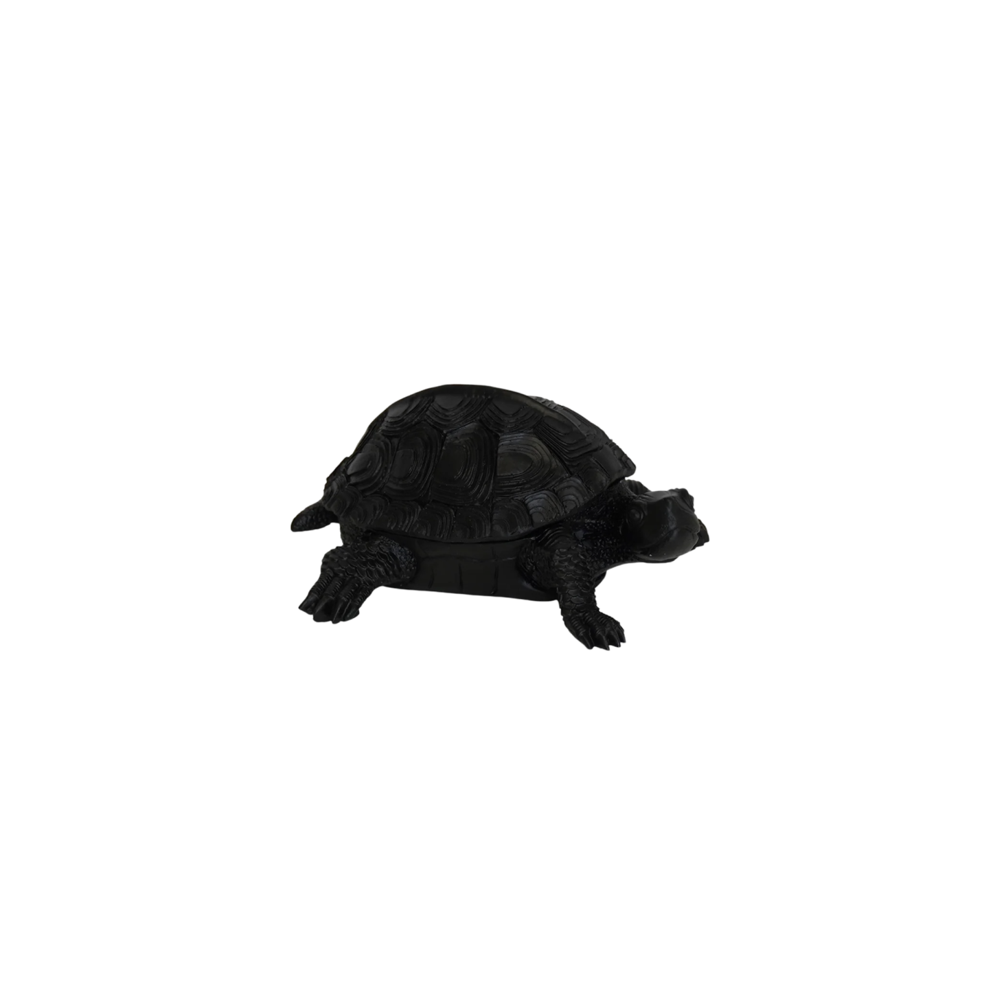 Housevitamin Schildpad Box Zwart