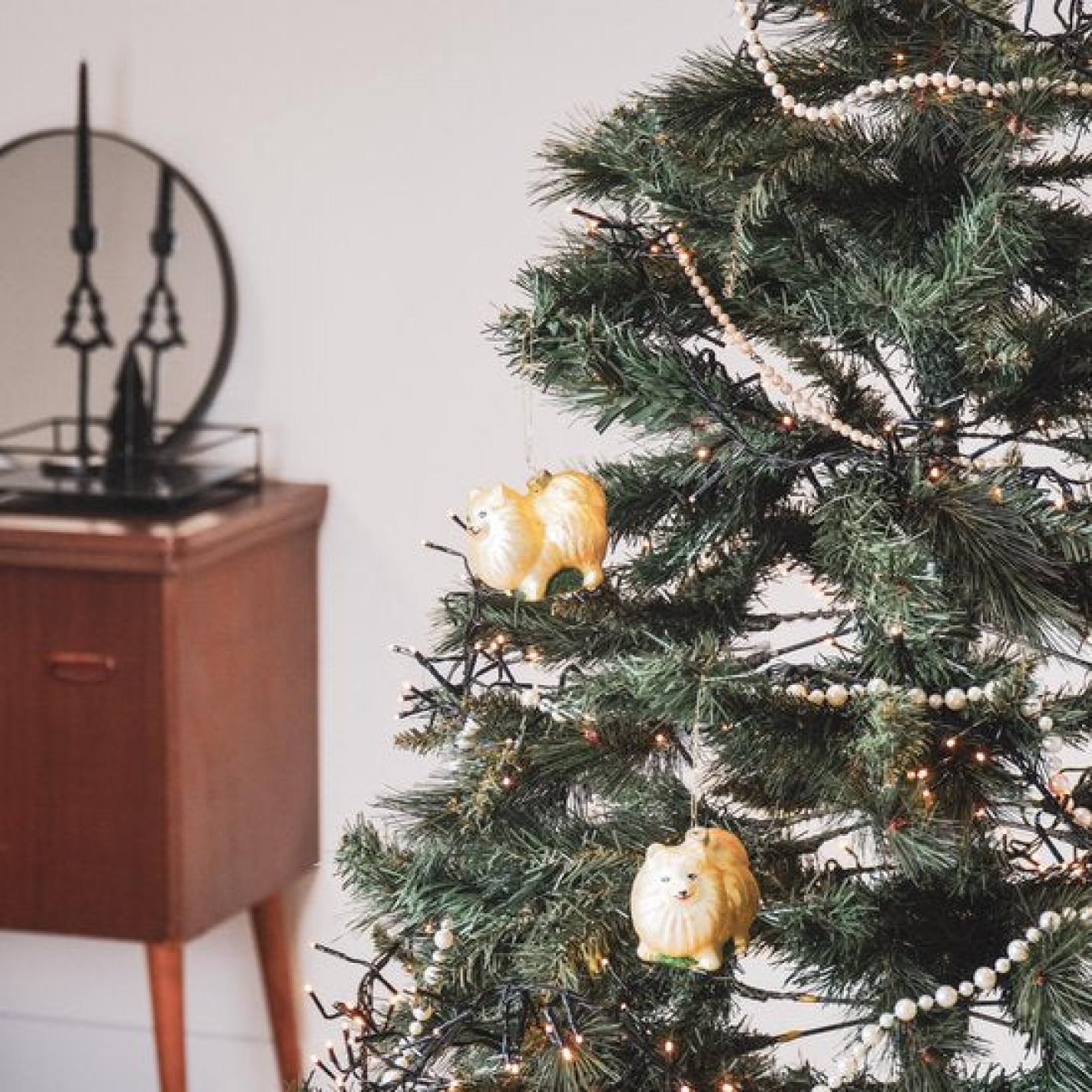 Housevitamin Kerstornament Pomeriaan; Afbeelding: 3